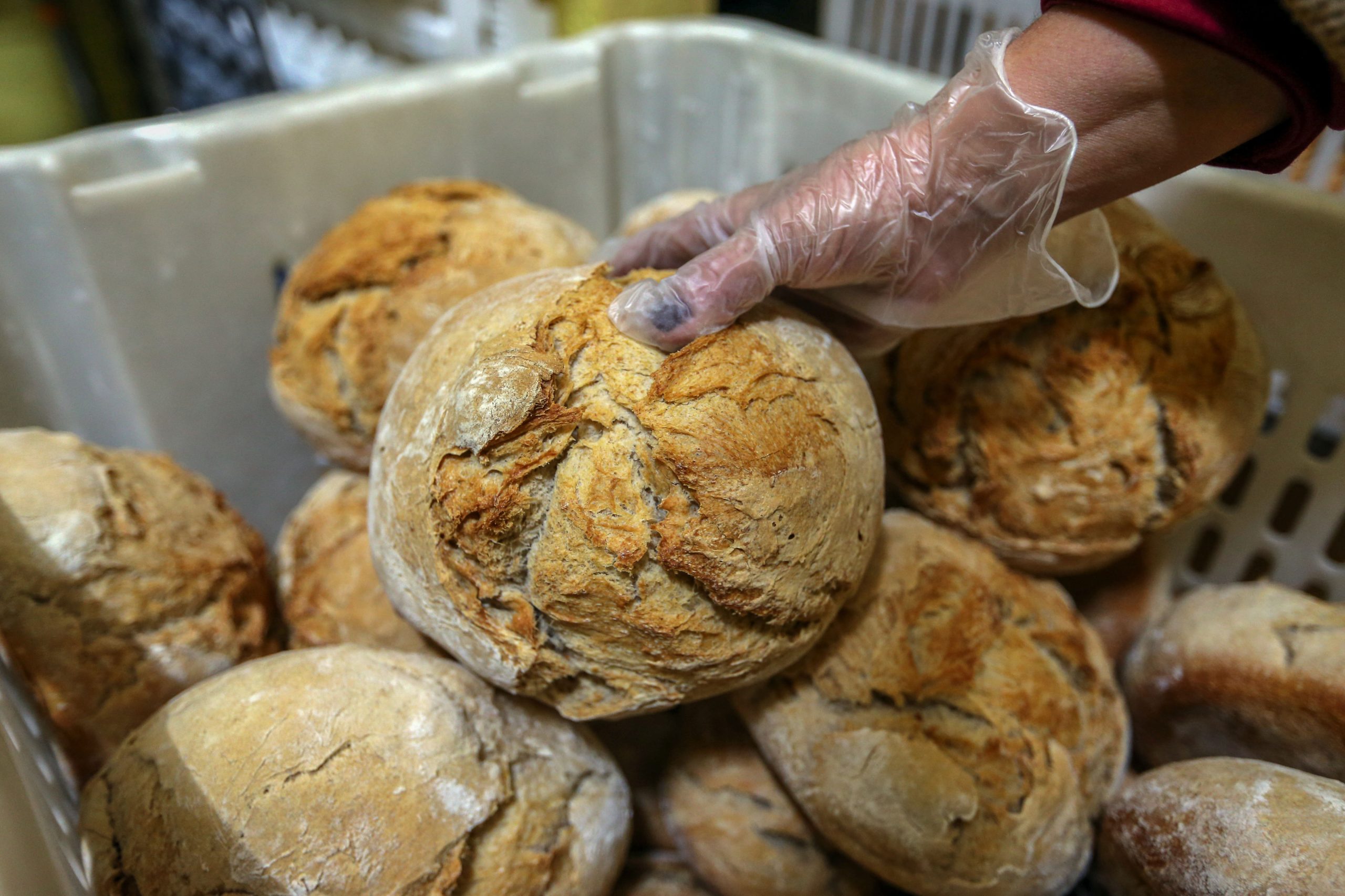 Pão alentejano “ambiciona” ser certificado com Indicação Geográfica Protegida