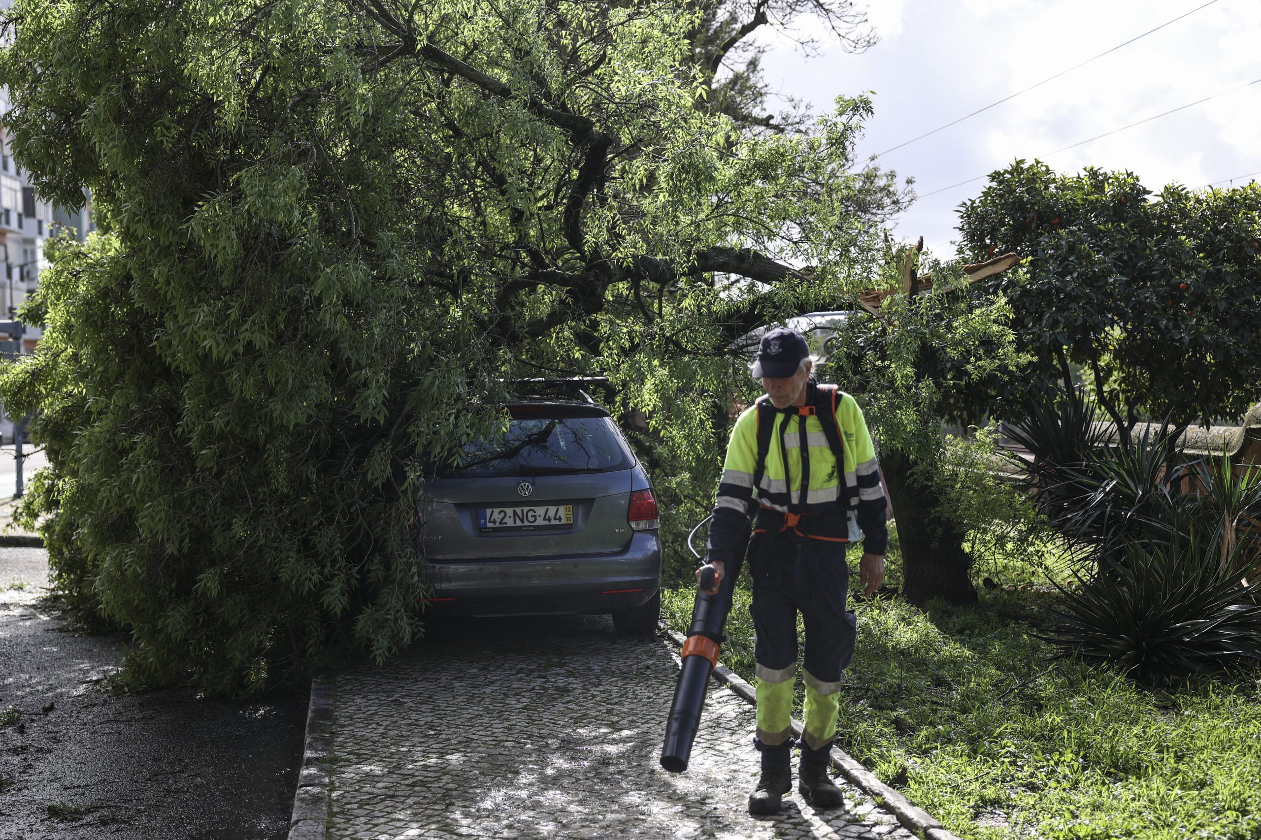 Ferreira do Zêzere pede estado de calamidade após destruição causada pela depressão Kristin