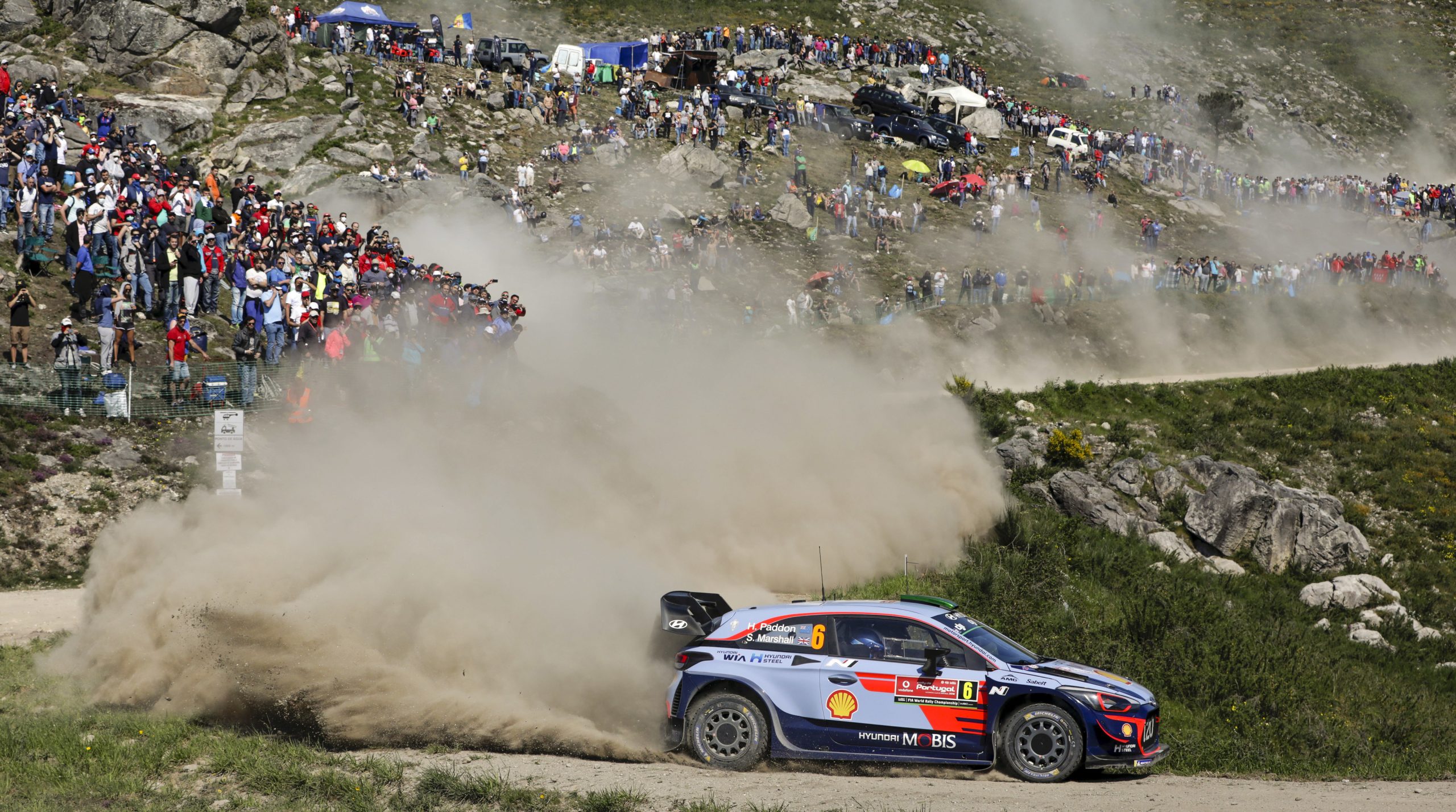 Rali de Portugal. Paddon tem alta depois de passar noite no hospital por precaução