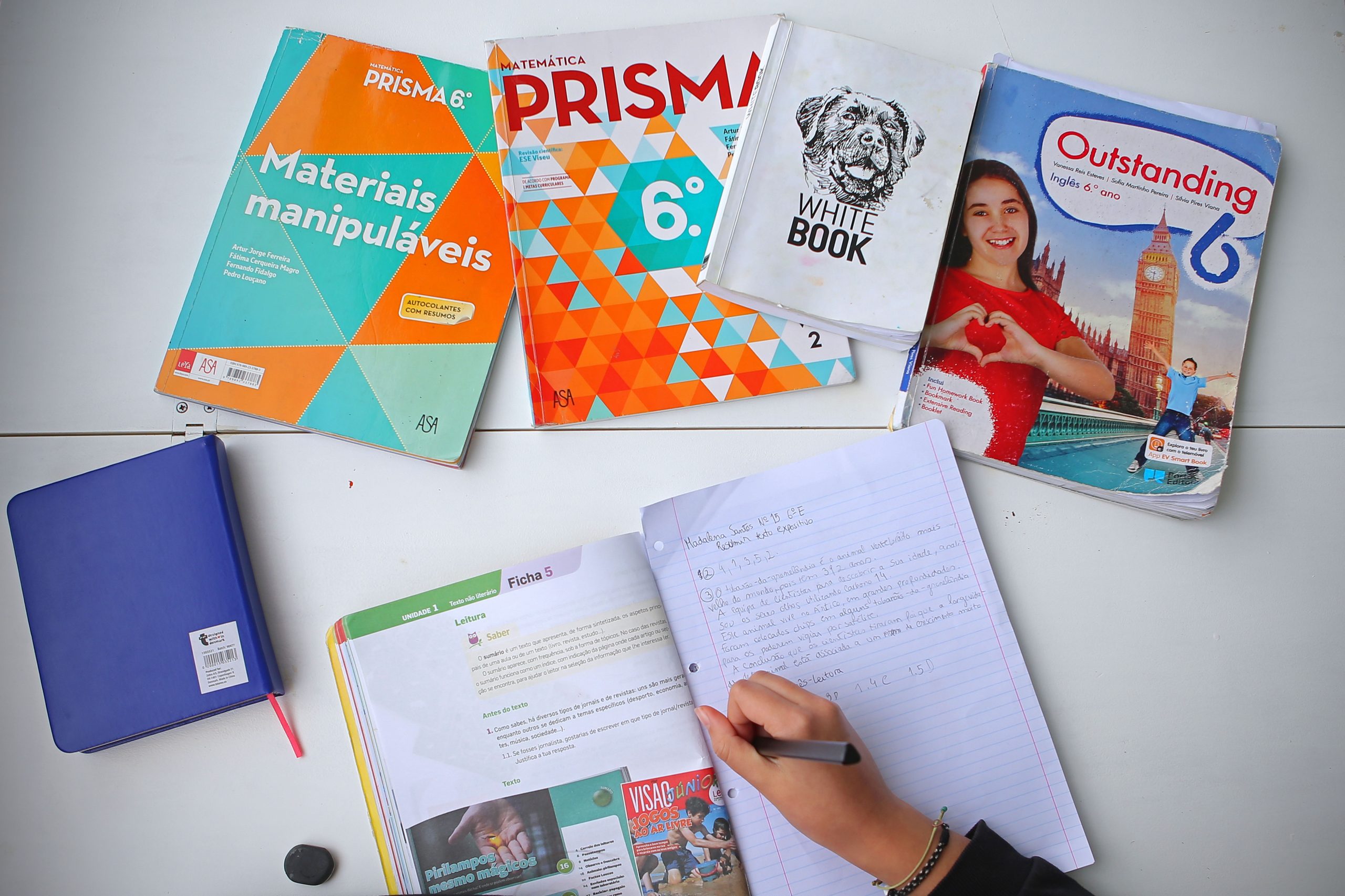 Escola Virtual cresceu, mas alunos continuaram a preferir manuais em papel