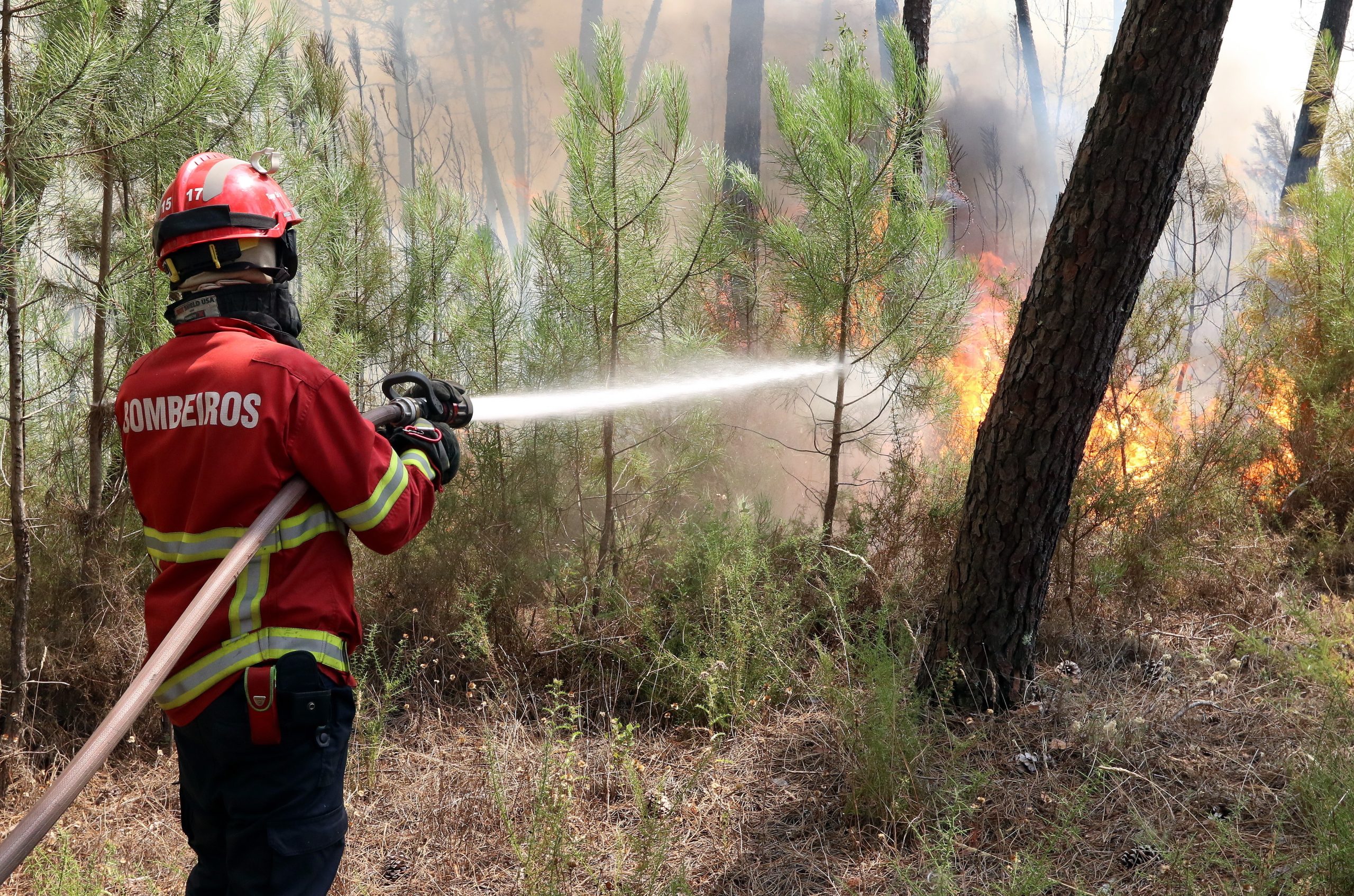 Incêndios: Dominado fogo no concelho de Nisa