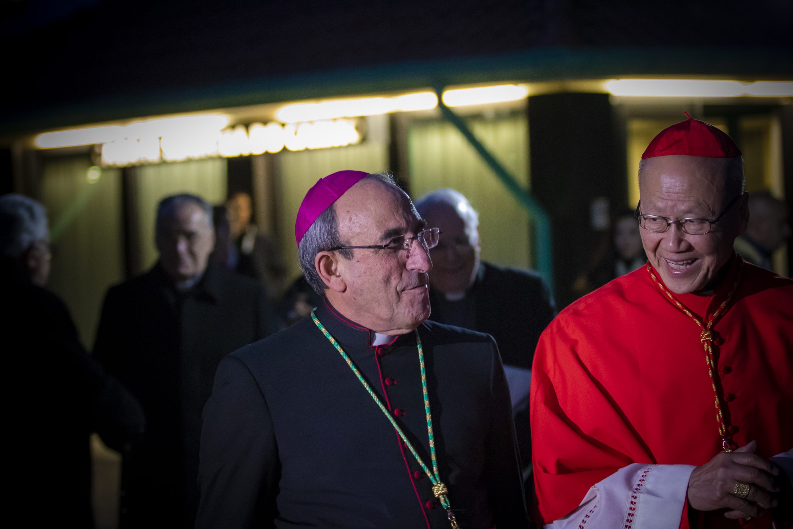 António Marto “constituirá uma forte mais-valia para a Igreja universal, diz bispo do Porto