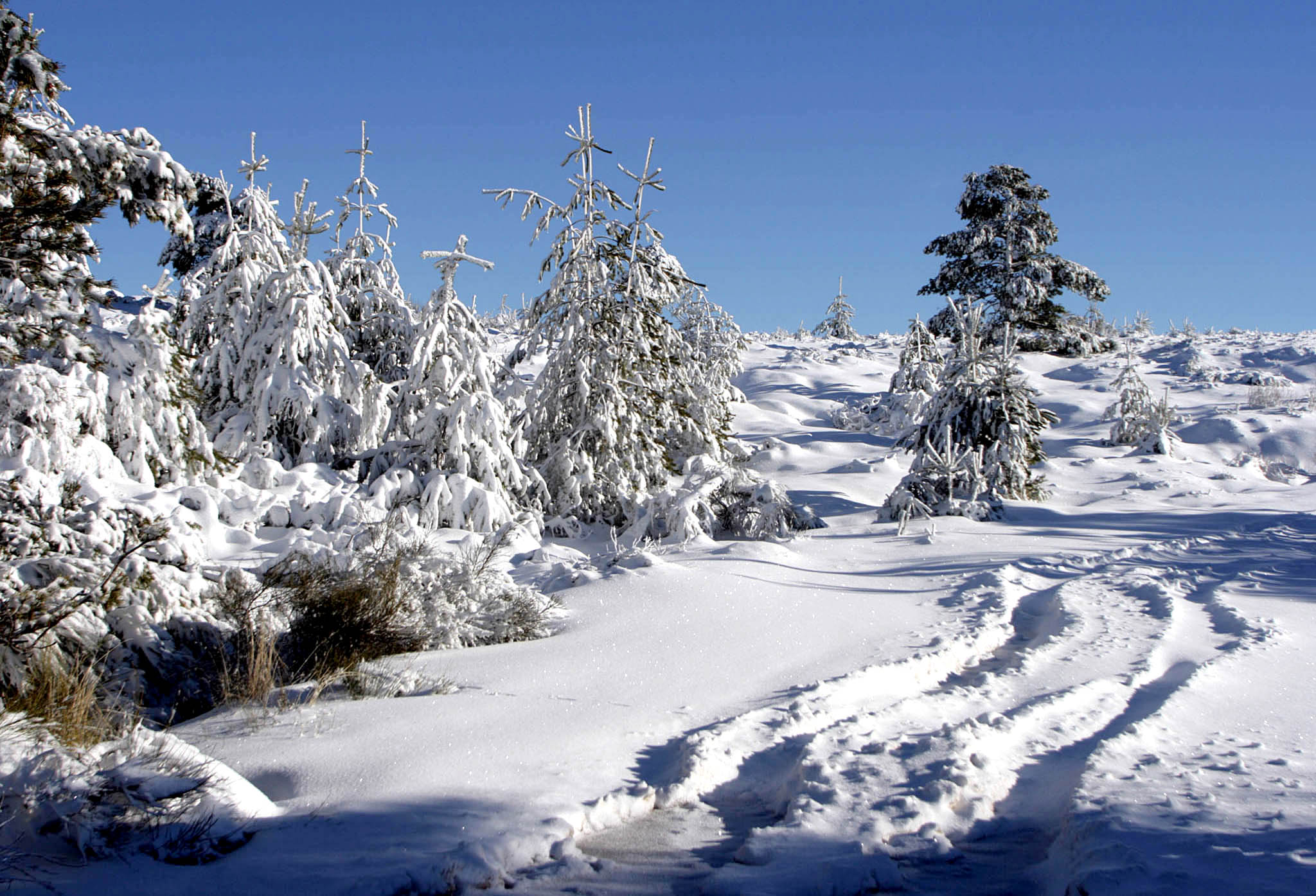 Queda de neve fecha estrada no maciço central da Serra da Estrela