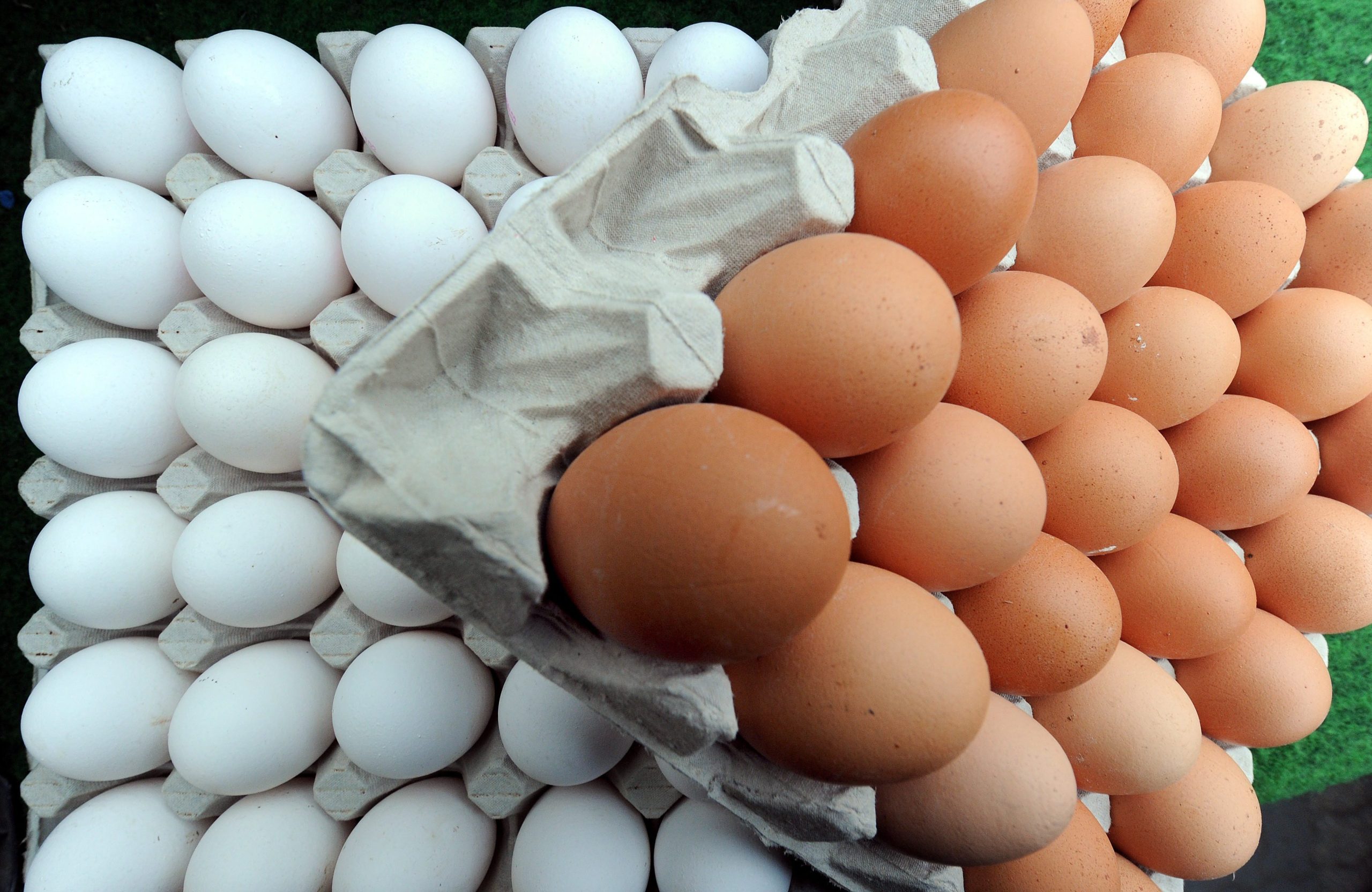 Confederação empresarial quer fim do IVA a 23% sobre alimentos pré-cozinhados