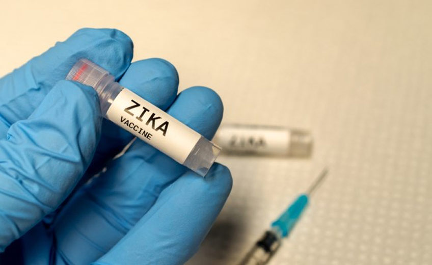 Vacina contra o Zika começará a ser testada em humanos dentro de um ano
