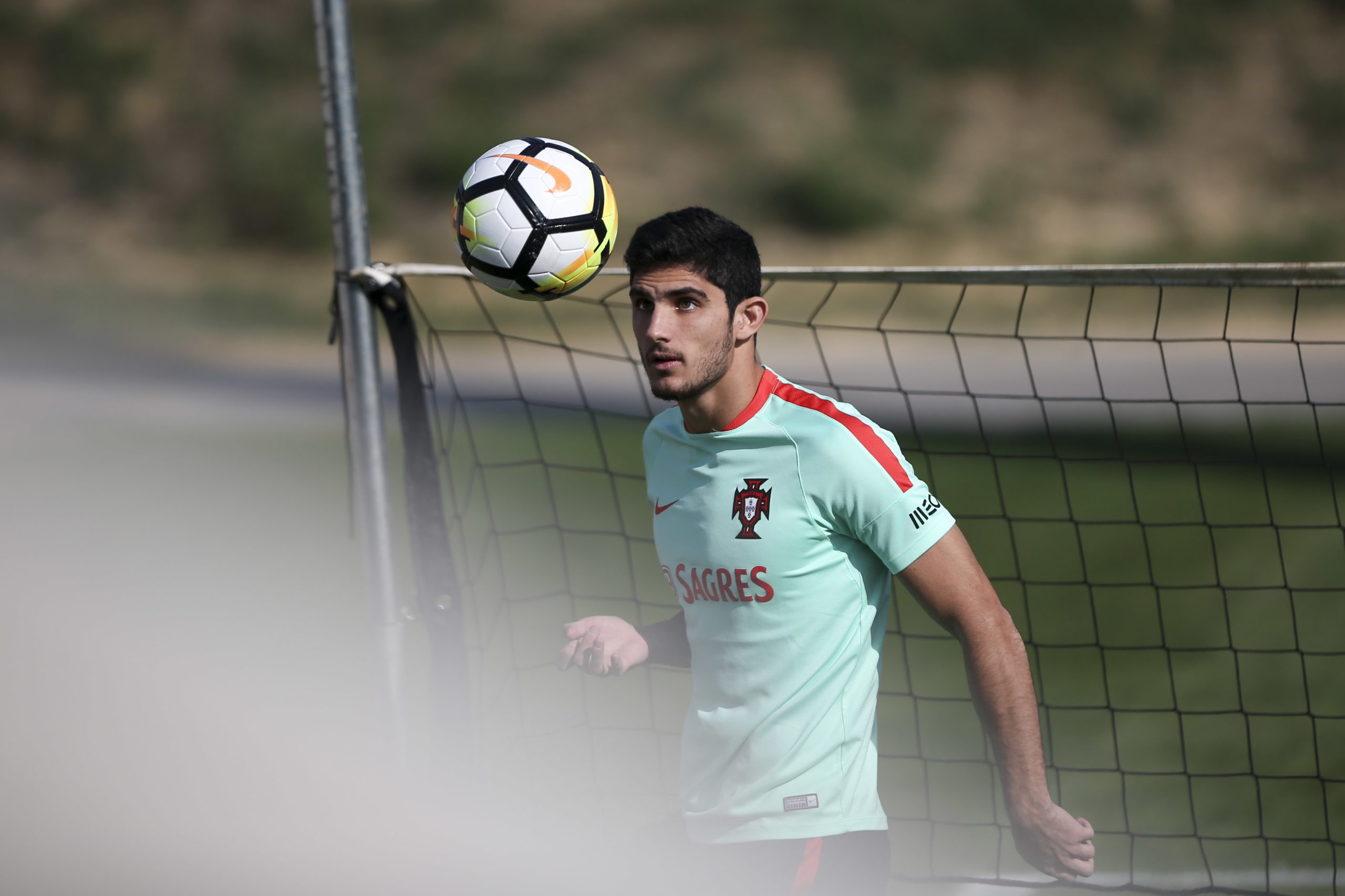 Gonçalo Guedes