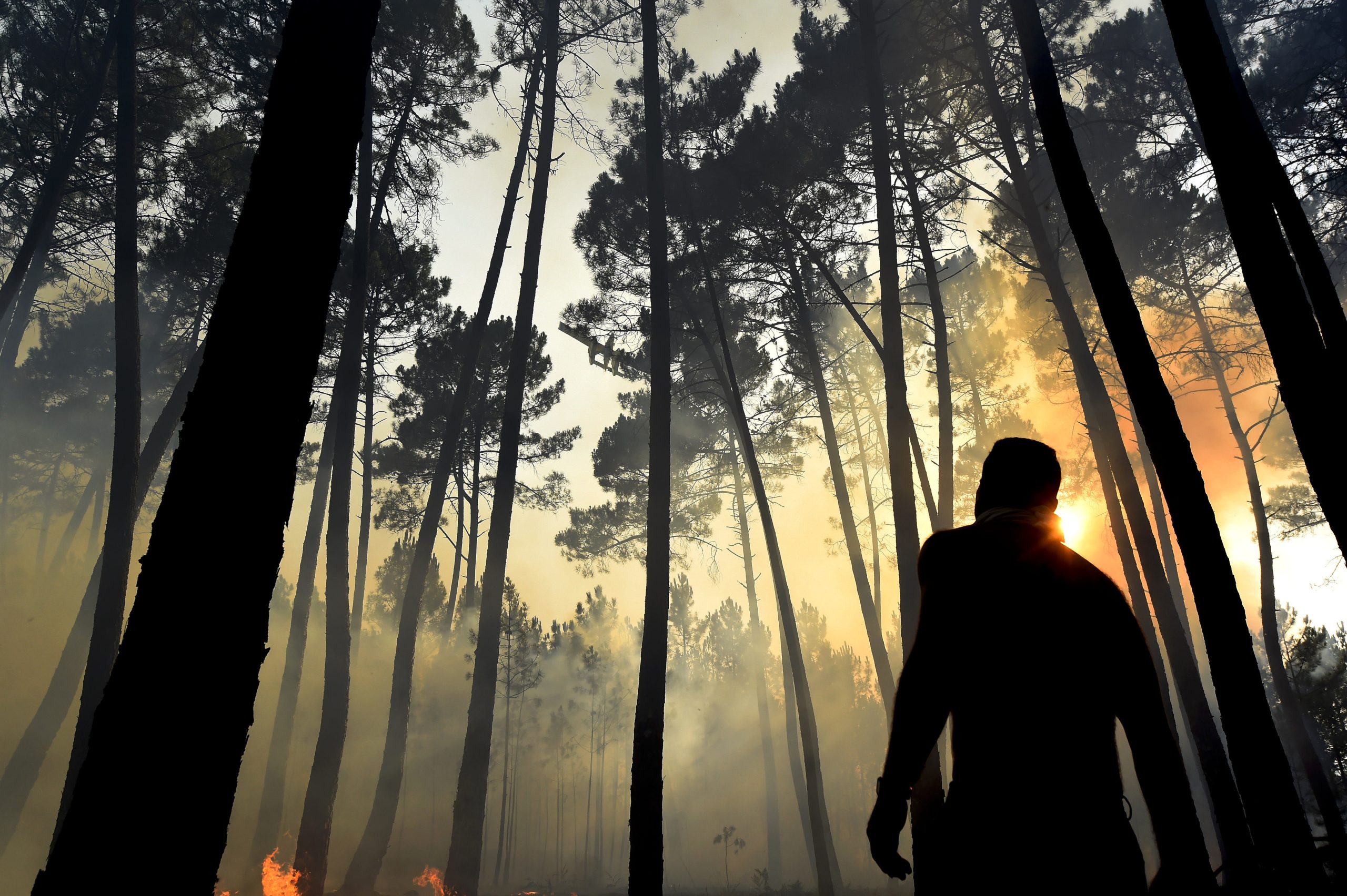 Medida de coação mais leve para suspeito de originar incêndio de Mirandela