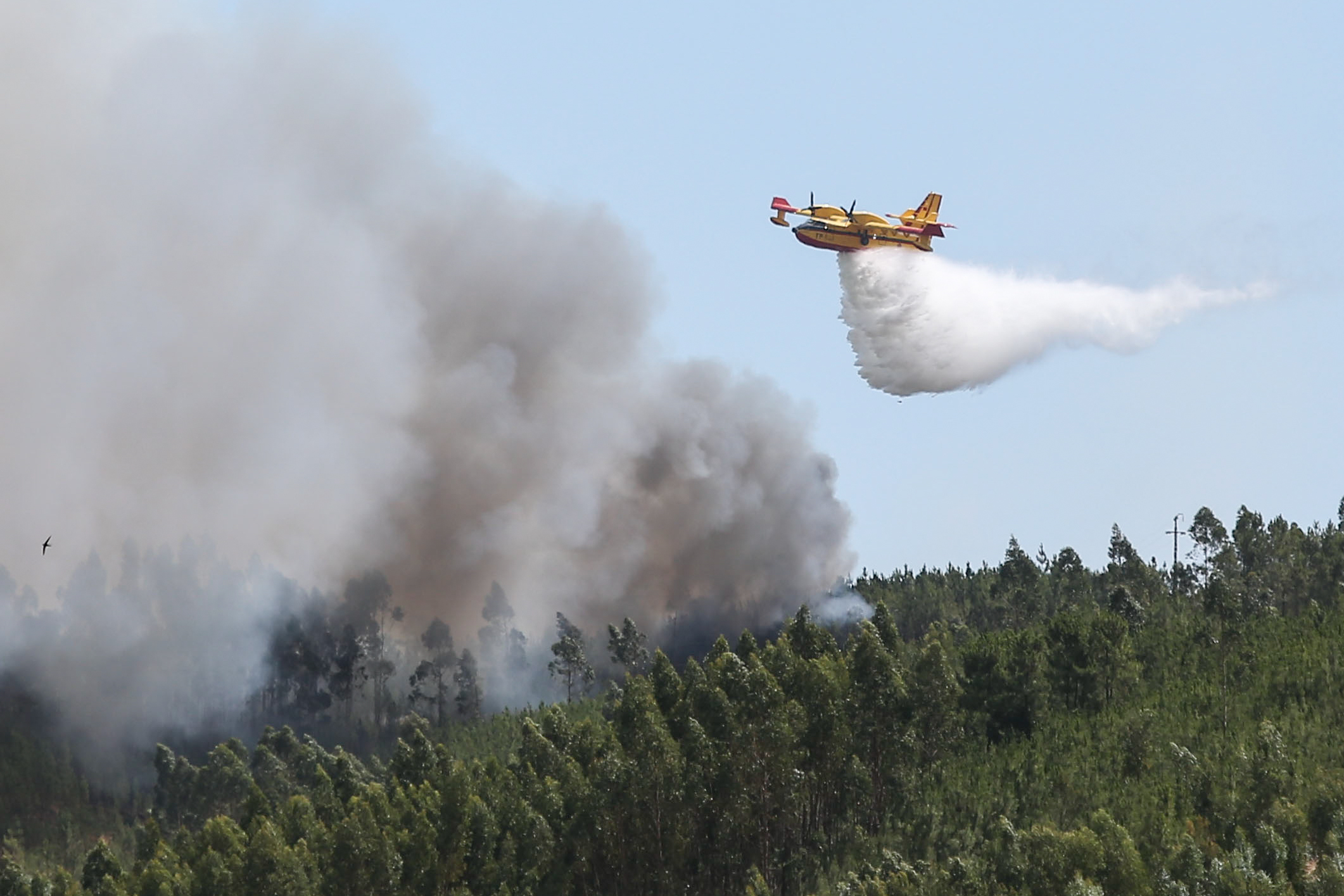 Incêndios: Quatro aldeias evacuadas em Abrantes