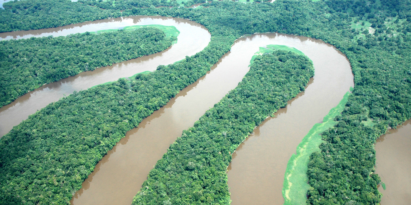 COP26: BID, Alemanha e Países Baixos anunciam projeto para proteger Amazónia