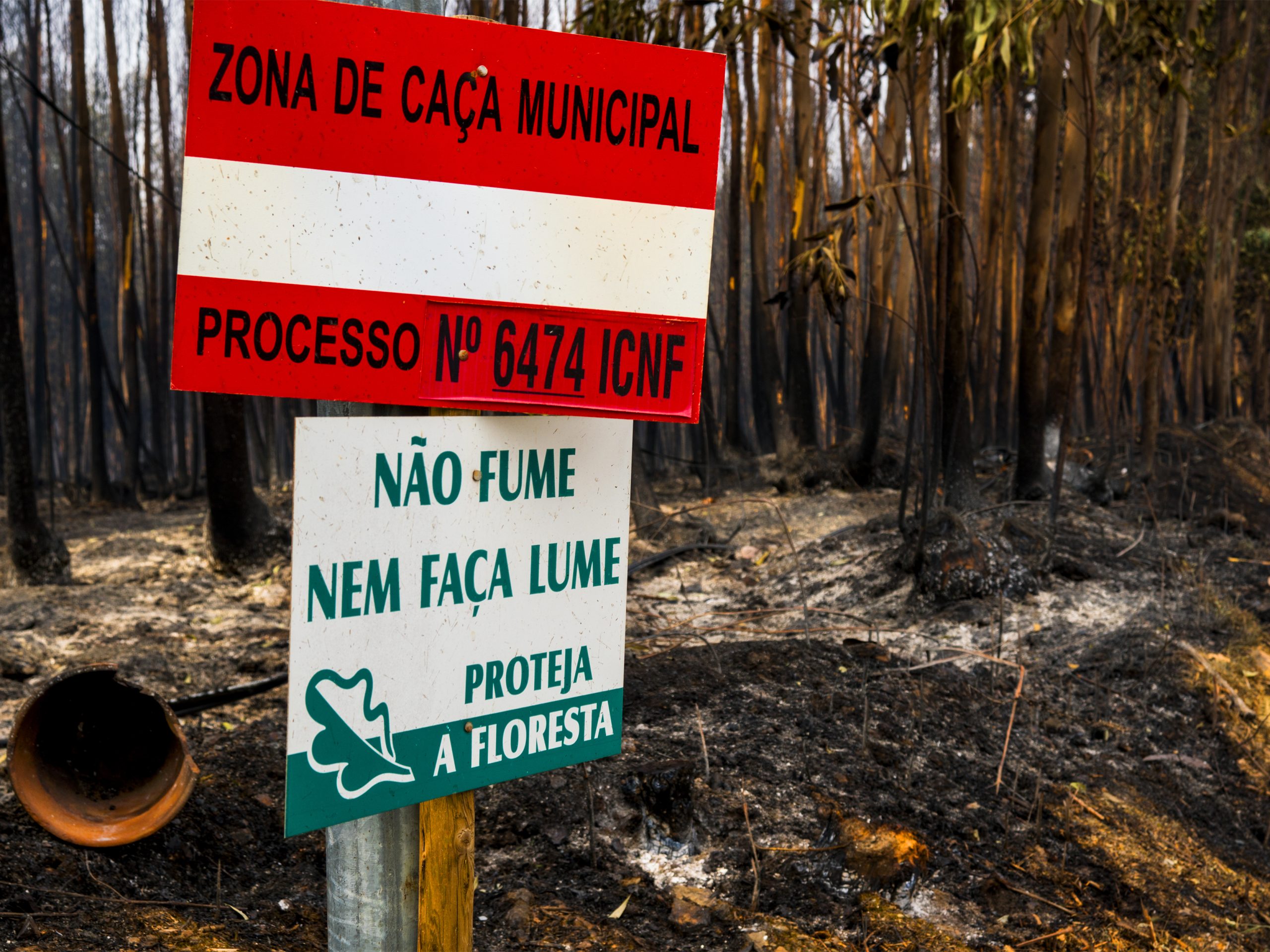 GEOTA sobre Pedrógão Grande: Muitas declarações, mas pouca ação