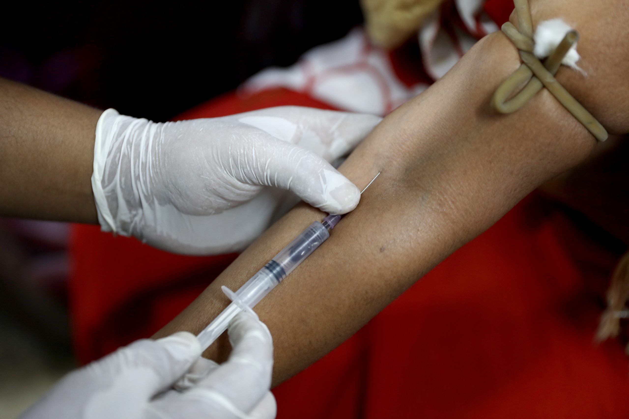 Especialista alerta para possibilidade de surtos epidémicos de dengue e zika em Portugal
