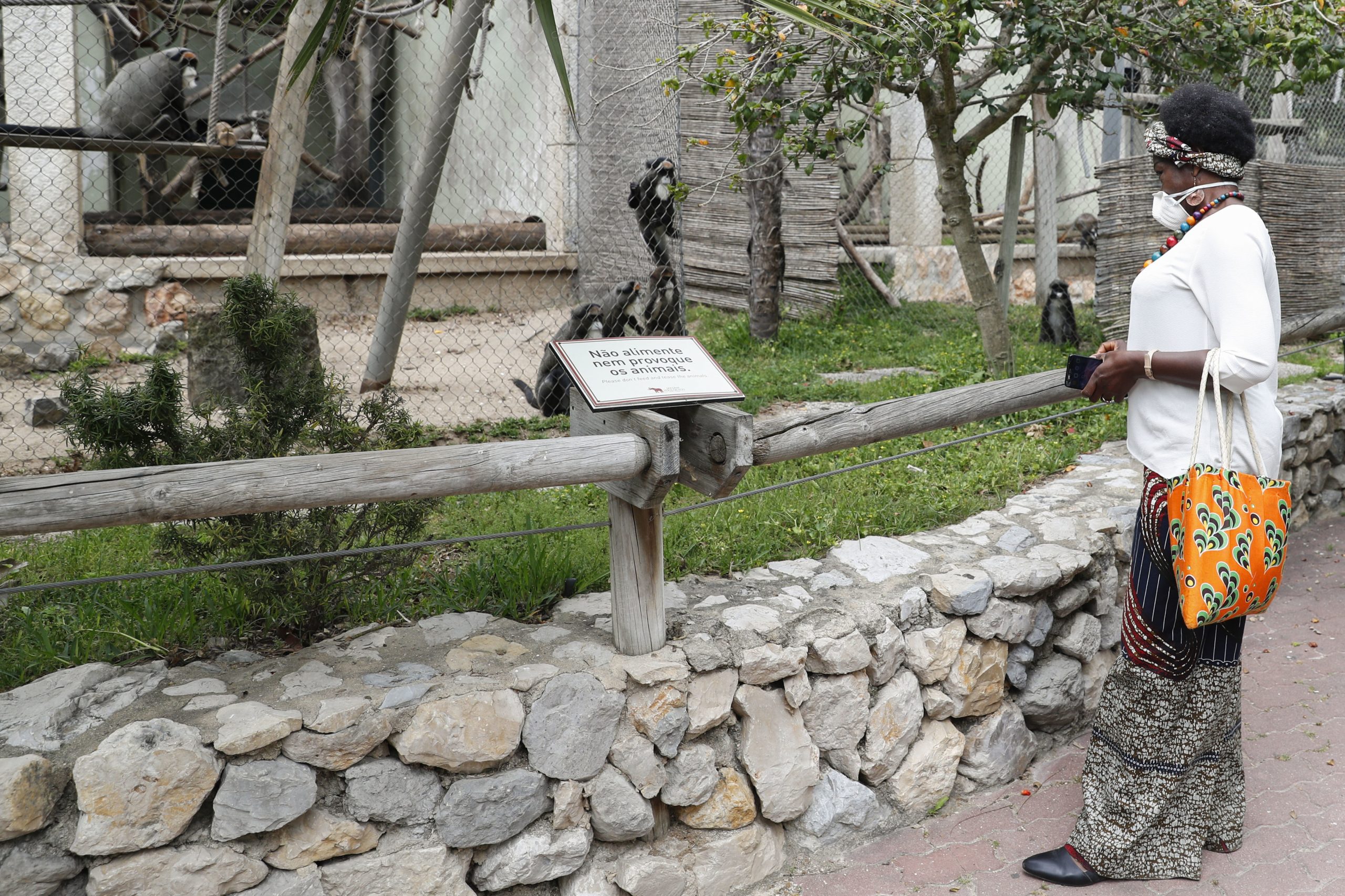 Zoo de Lisboa reabriu as portas em busca da normalidade