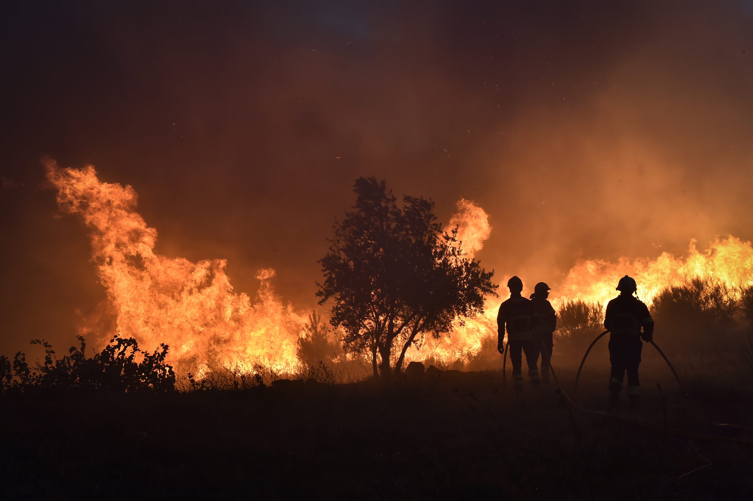 Incêndios: Duas “reativações fortes” preocupam em Vila Real