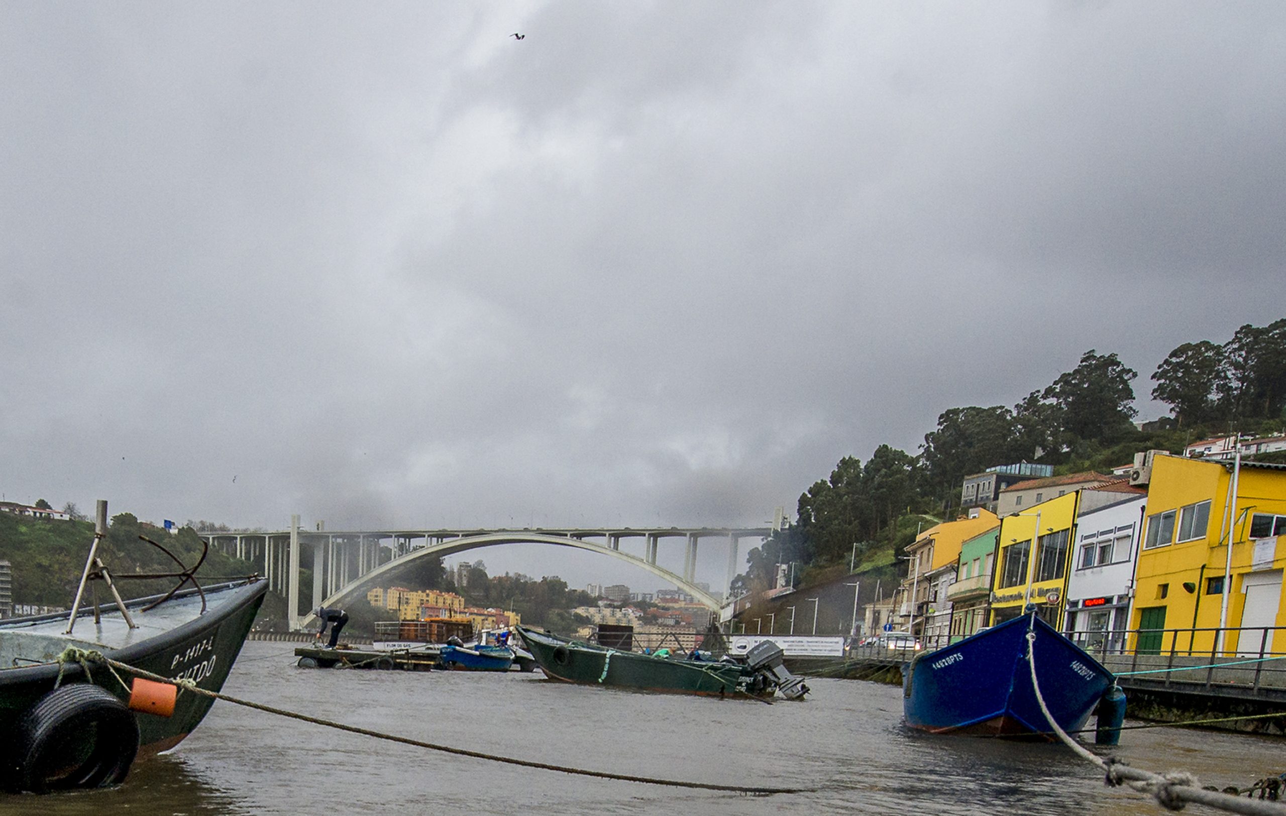 Segundo dia de buscas por pescador desaparecido no rio Douro, em Gaia, sem resultados