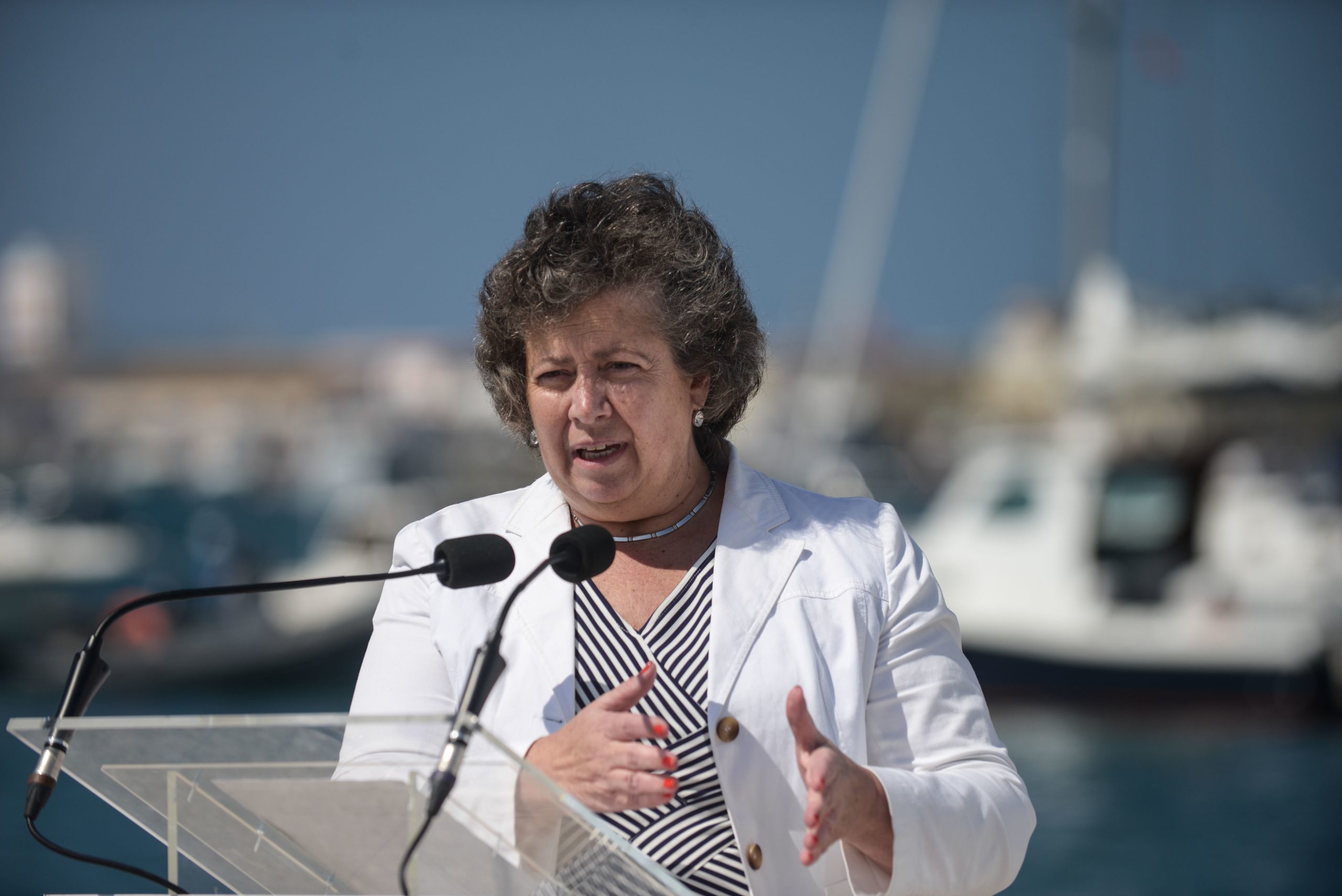 CReSAP dá luz verde a escolha de Ana Paula Vitorino para liderar Autoridade da Mobilidade e dos Transportes