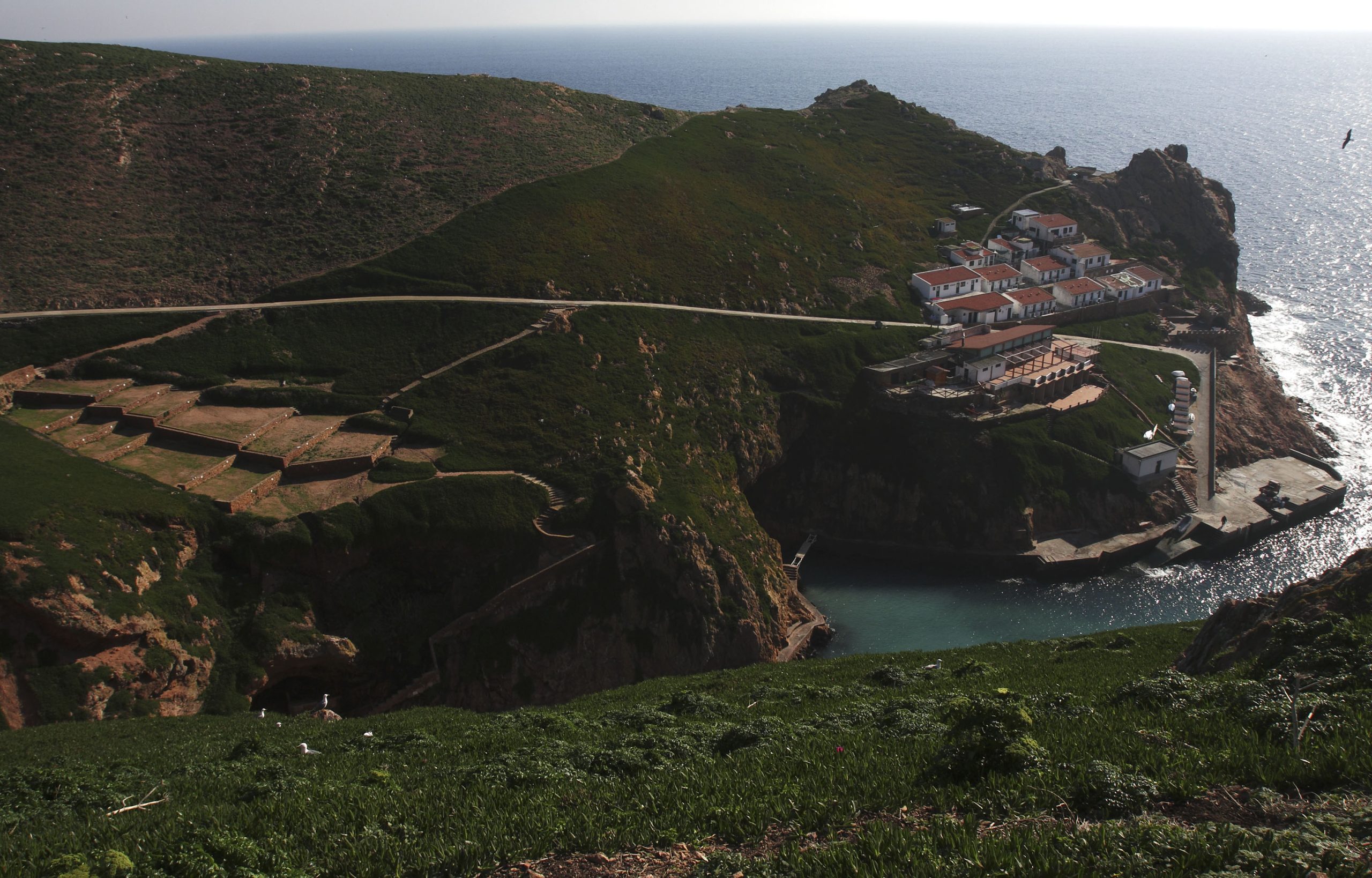 Eletricidade a diesel substituída por painéis fotovoltaicos na ilha da Berlenga