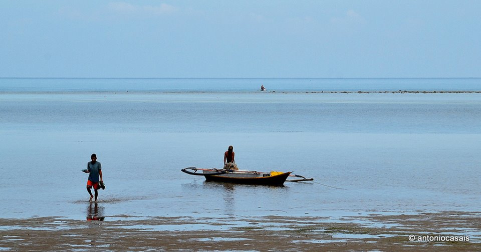 Milhares de crianças foram roubadas de Timor-Leste e só algumas regressaram a casa
