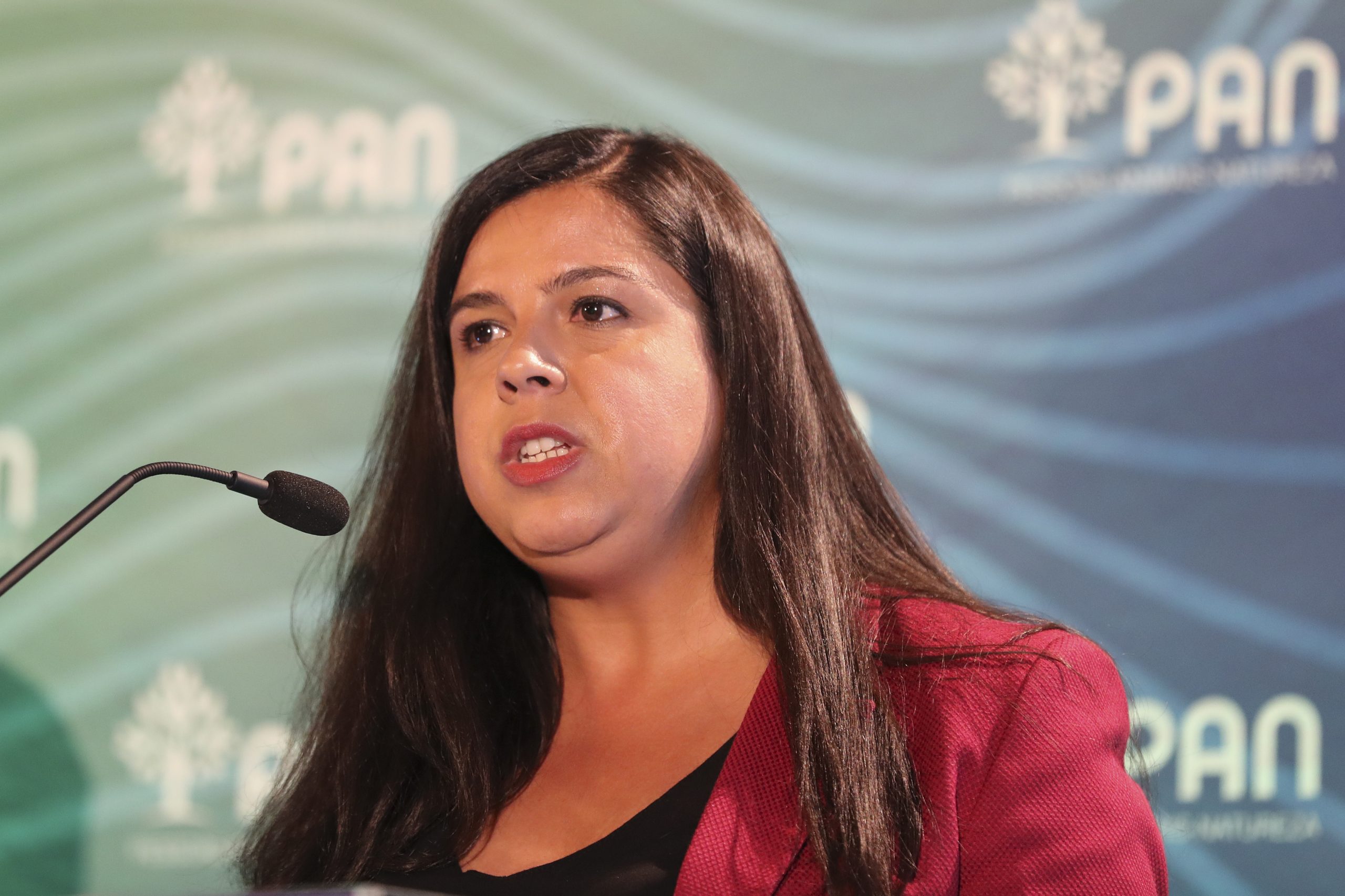 Autárquicas. Inês de Sousa Real aguarda “com serenidade”, confiante em “mais eleitos”