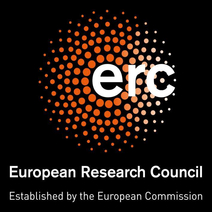 Três investigadores portugueses selecionados para bolsas de consolidação do ERC