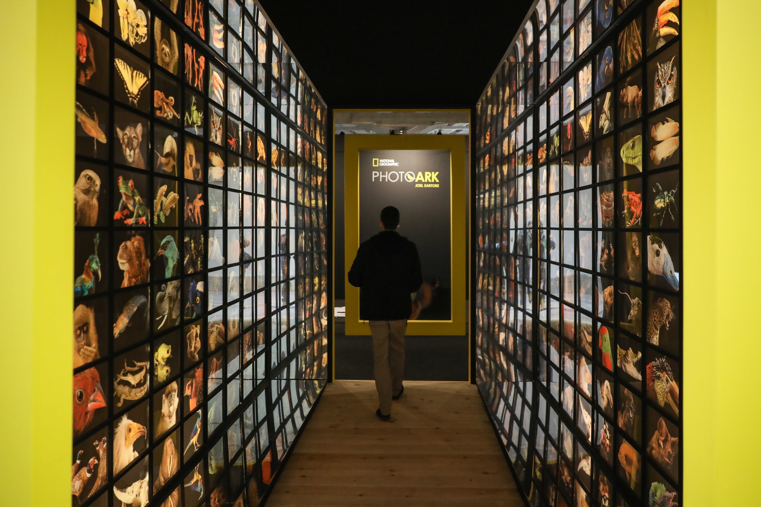Depois do Porto, a arca de Noé fotográfica chega a Lisboa