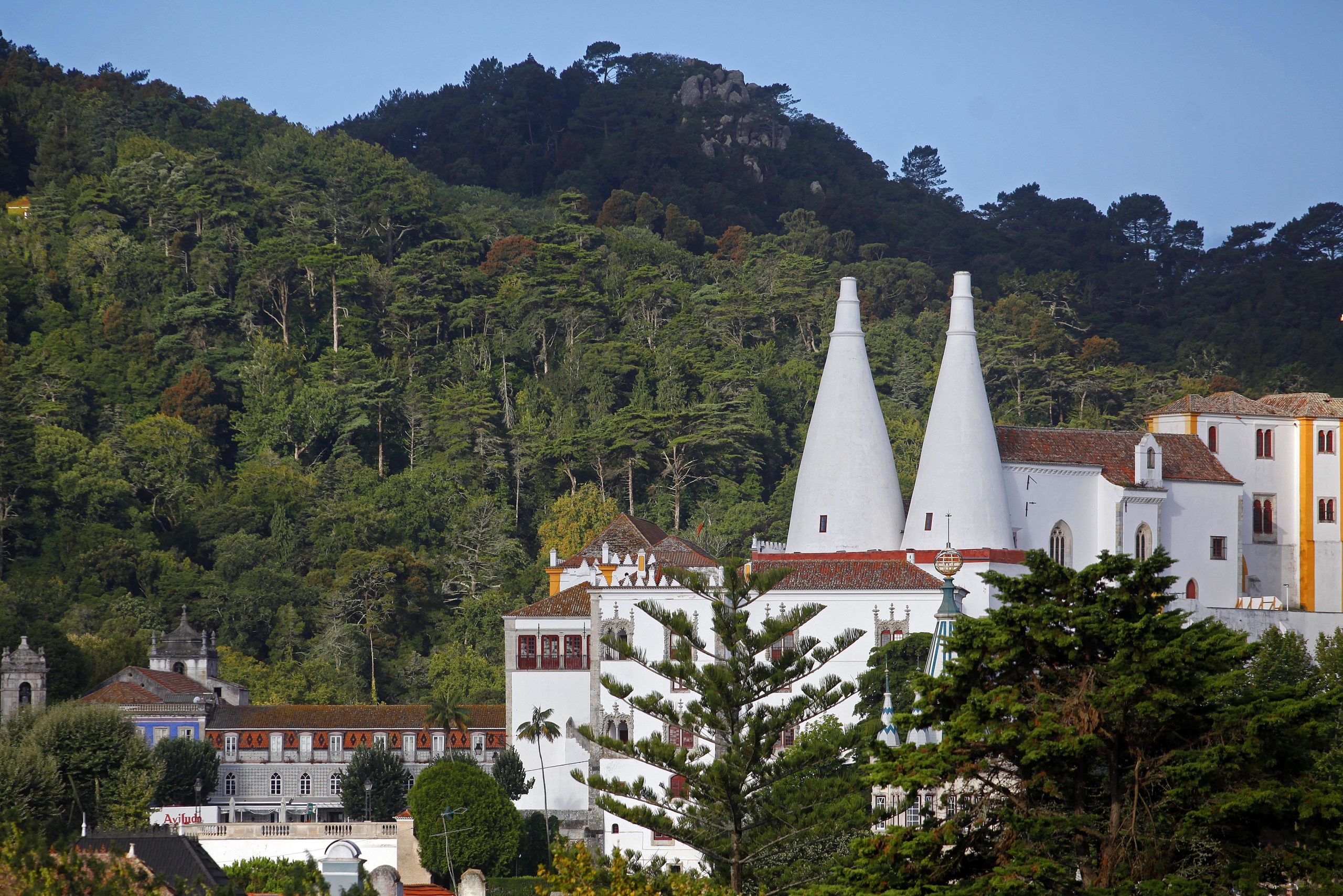 Parques de Sintra e Câmara de Lisboa vencem prémio de Restauro do SOS Azulejo