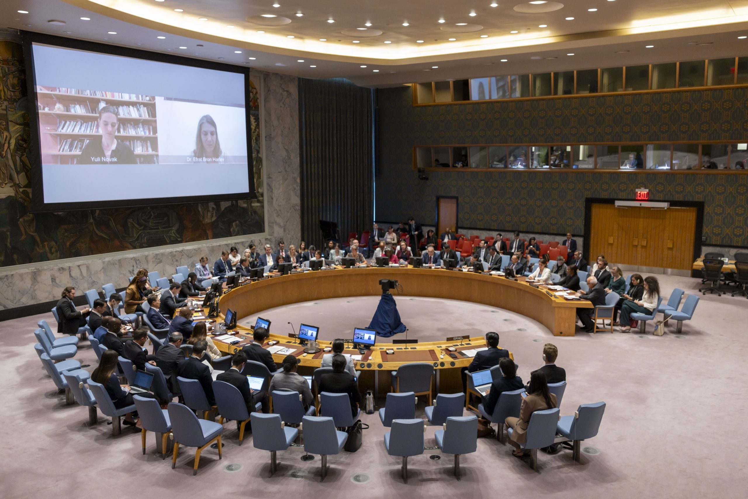Ucrânia: Conselho de Segurança da ONU aprova resolução dos EUA que pede fim da guerra