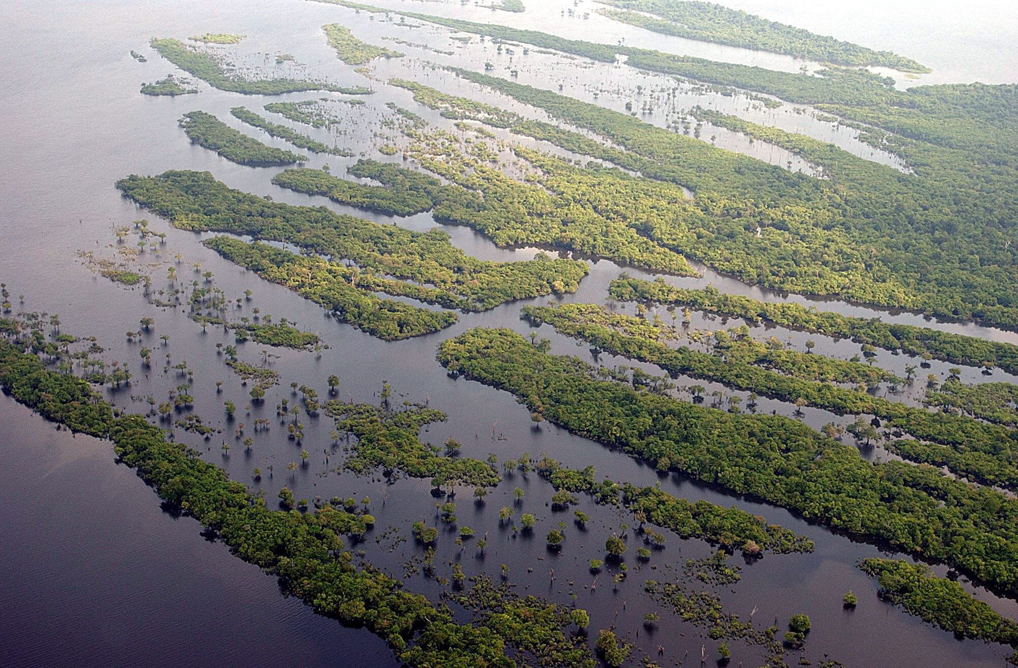 Brasil recusa à petrolífera francesa Total exploração na foz do Amazonas