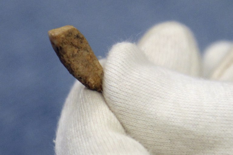 Arqueólogos encontram dente de leite com 560 mil anos em caverna francesa