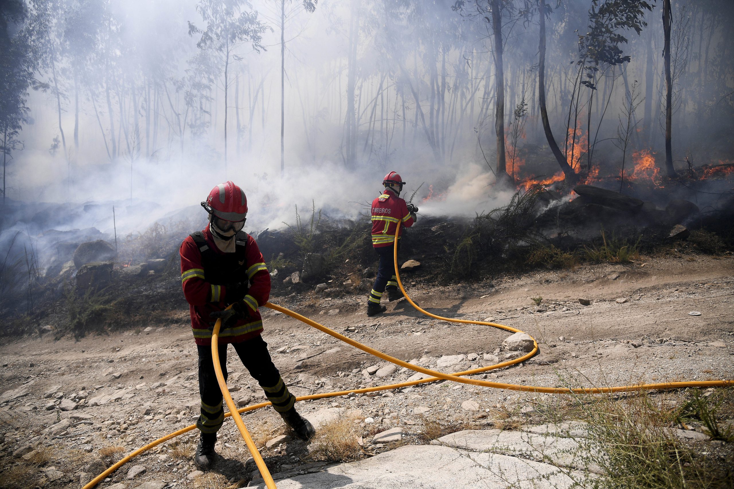 Bombeiros voluntários abandonam estrutura da Proteção Civil em protesto contra diploma do Governo