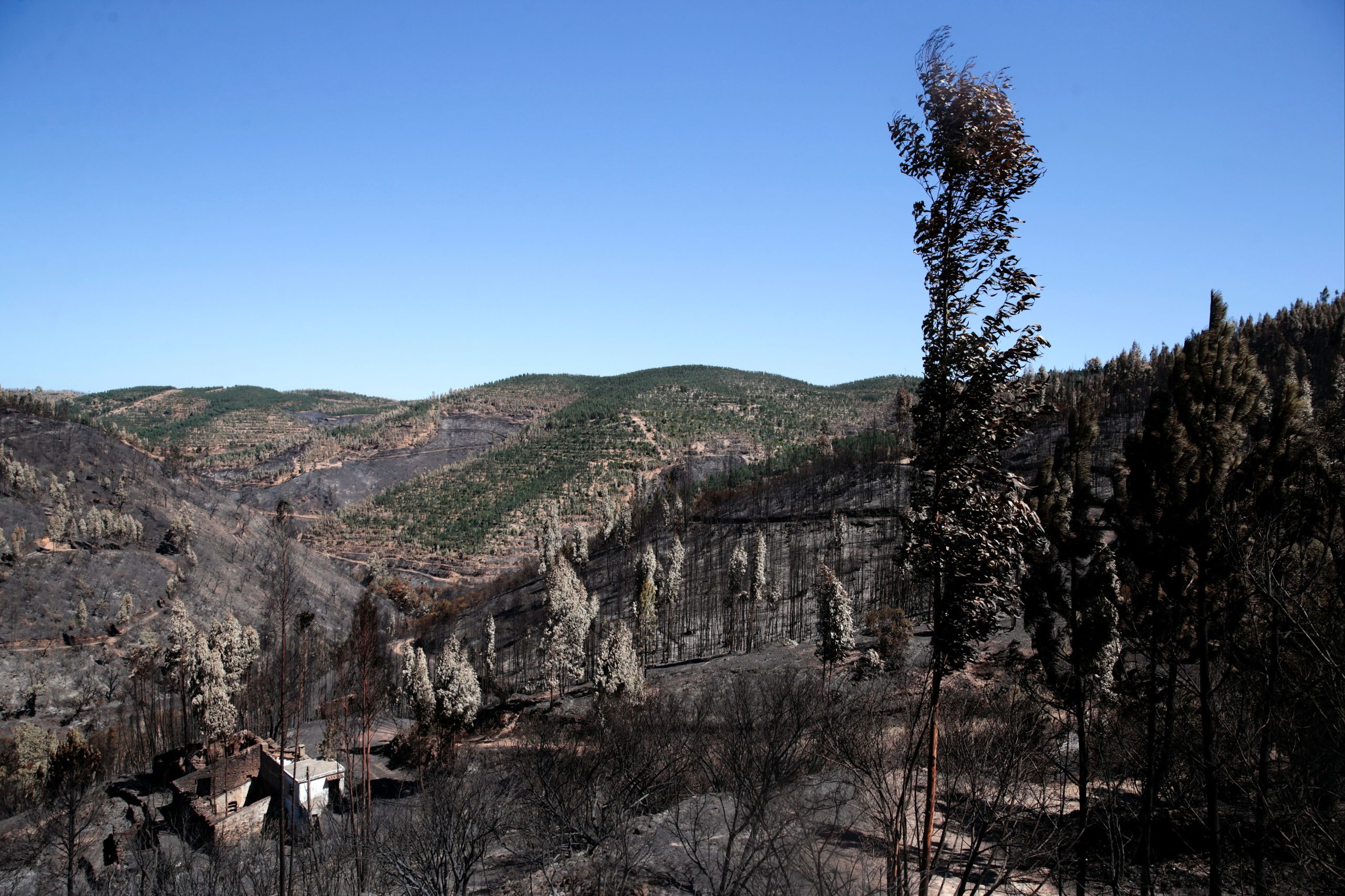 Recuperação da rede hidrográfica em concelhos afetados por incêndios tem prazo até julho