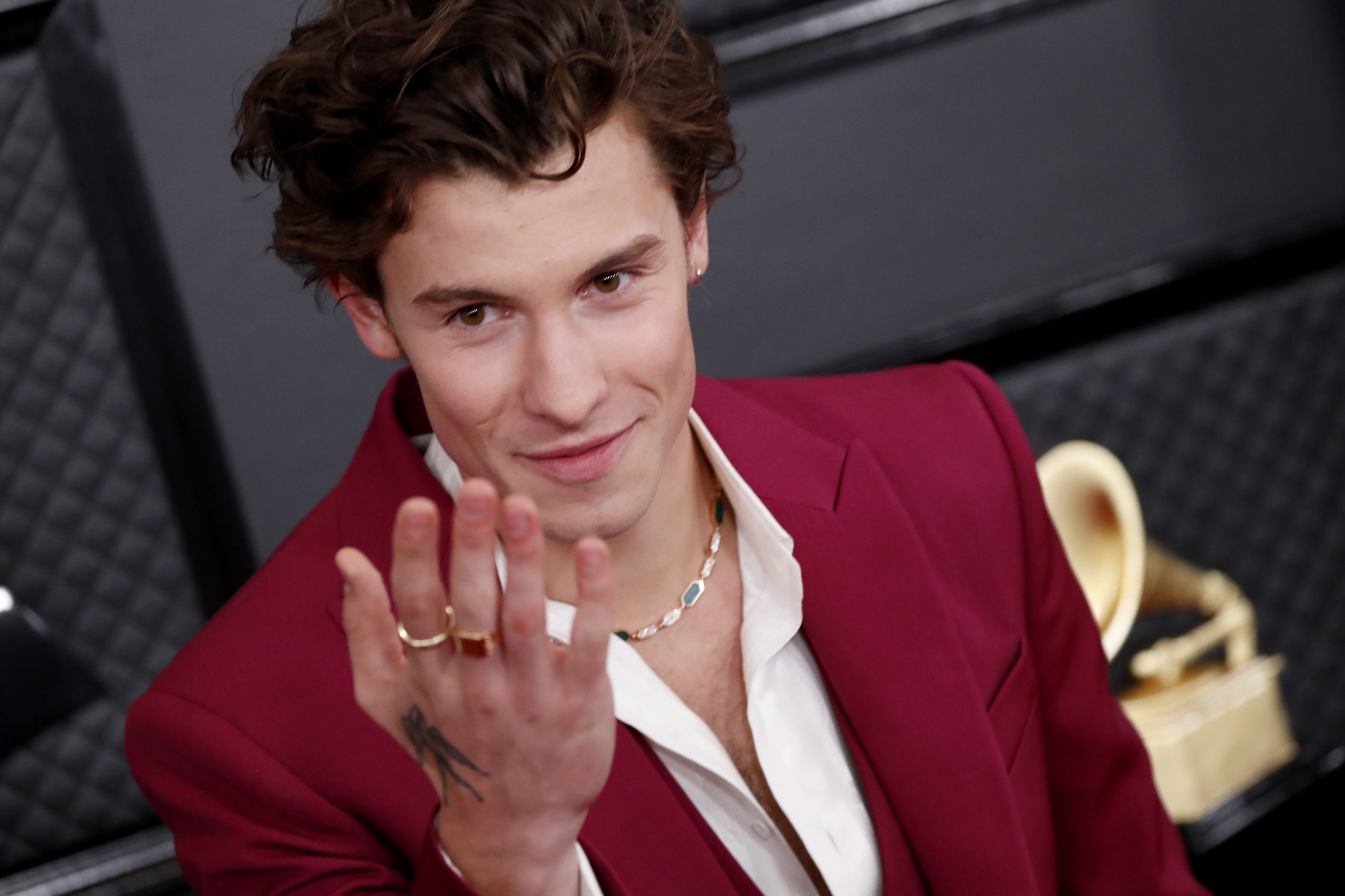 Shawn Mendes cancelou digressão mundial (que incluía concerto em Lisboa em 2023)
