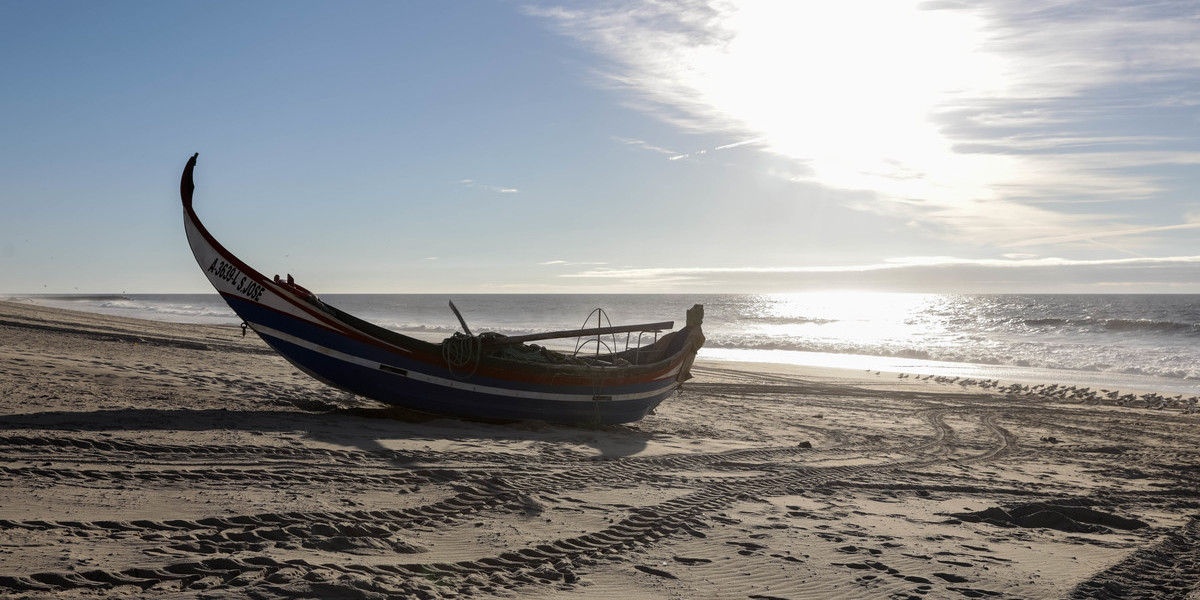 Setor da pesca e aquicultura pode candidatar-se a apoio global de 63,7 milhões de euros