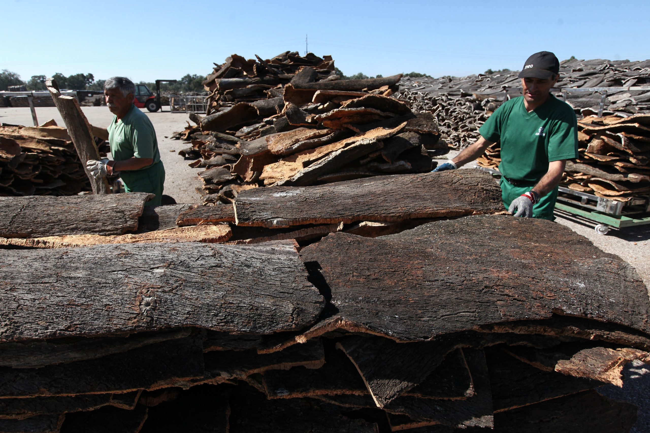 Cortiça bate recorde histórico de exportações