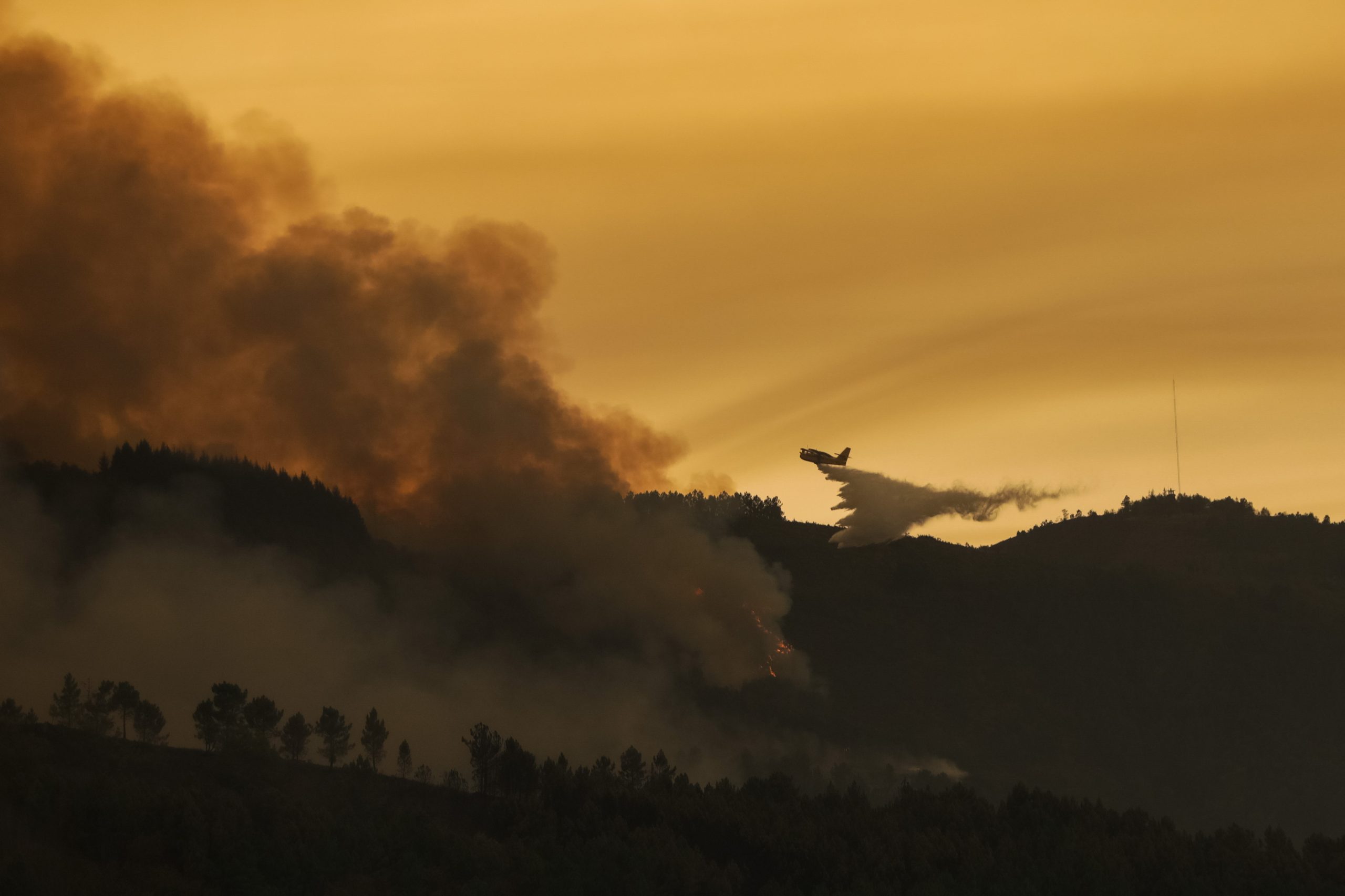 Incêndios: Nelas disponibiliza apoio logístico e alimentar