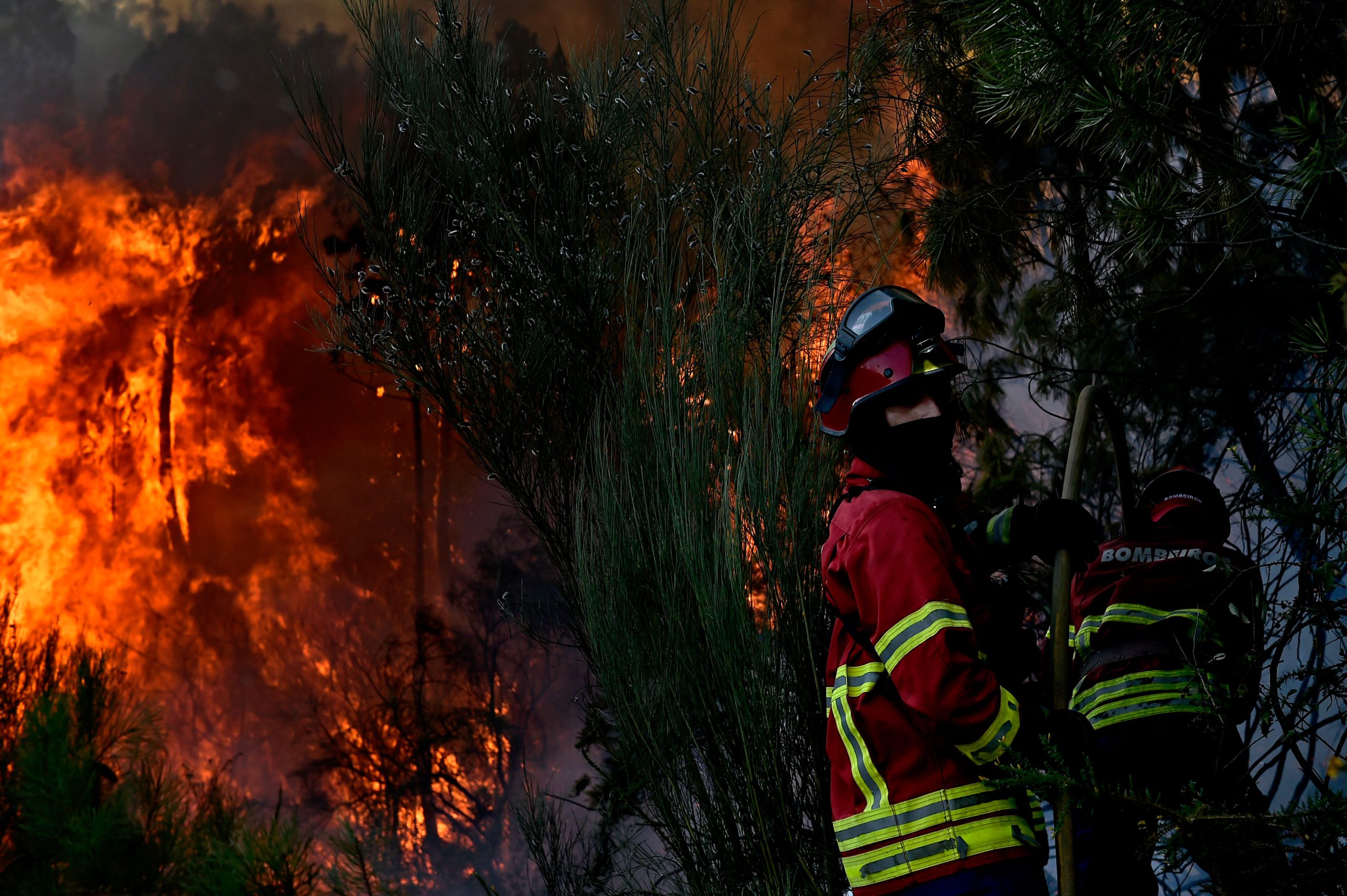 Incêndios: Mais de cem operacionais e quatro meios aéreos combatem fogo em Castro Daire