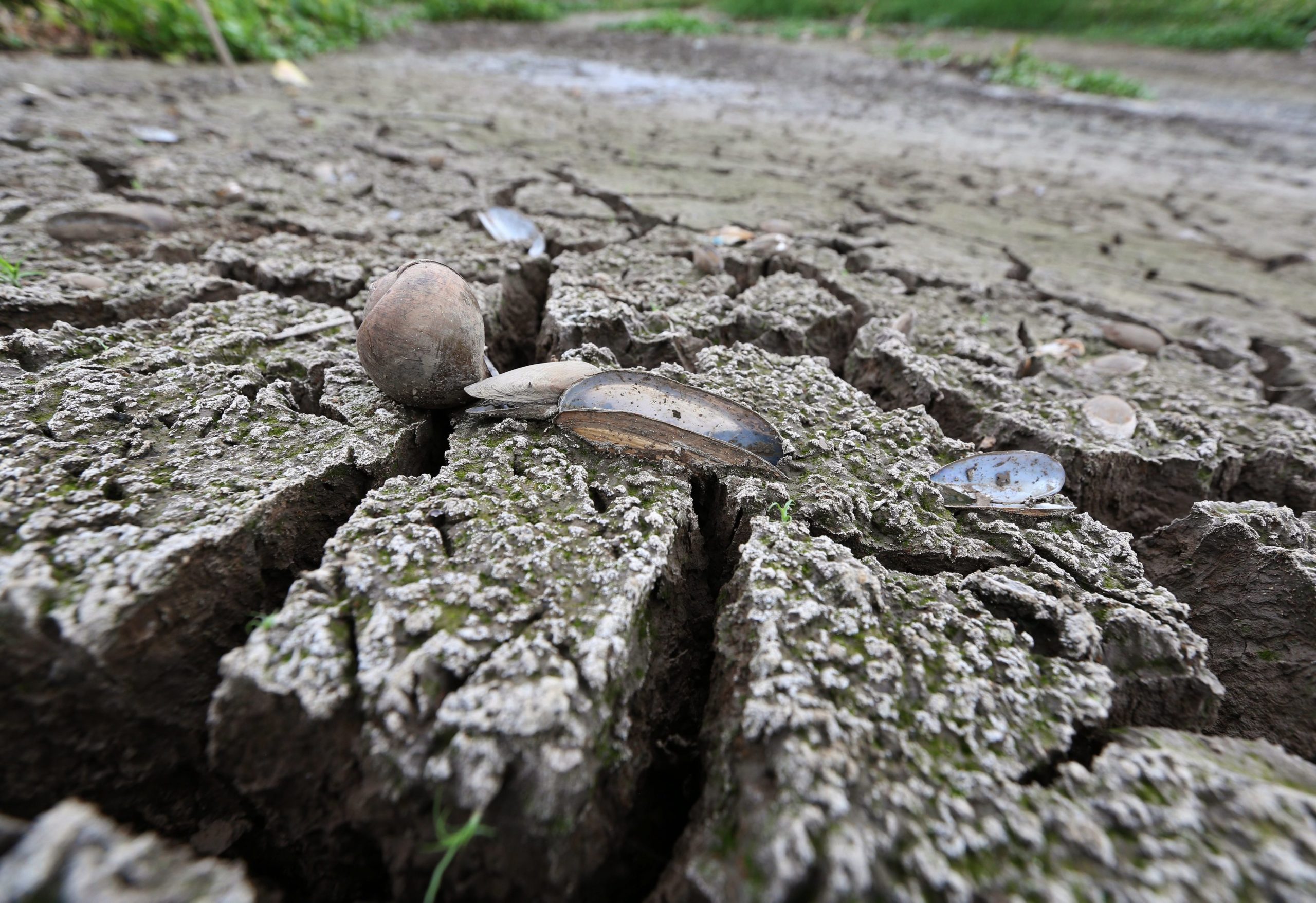 Angola cada vez mais afetada pelas alterações climáticas globais vai ter mais eventos de seca