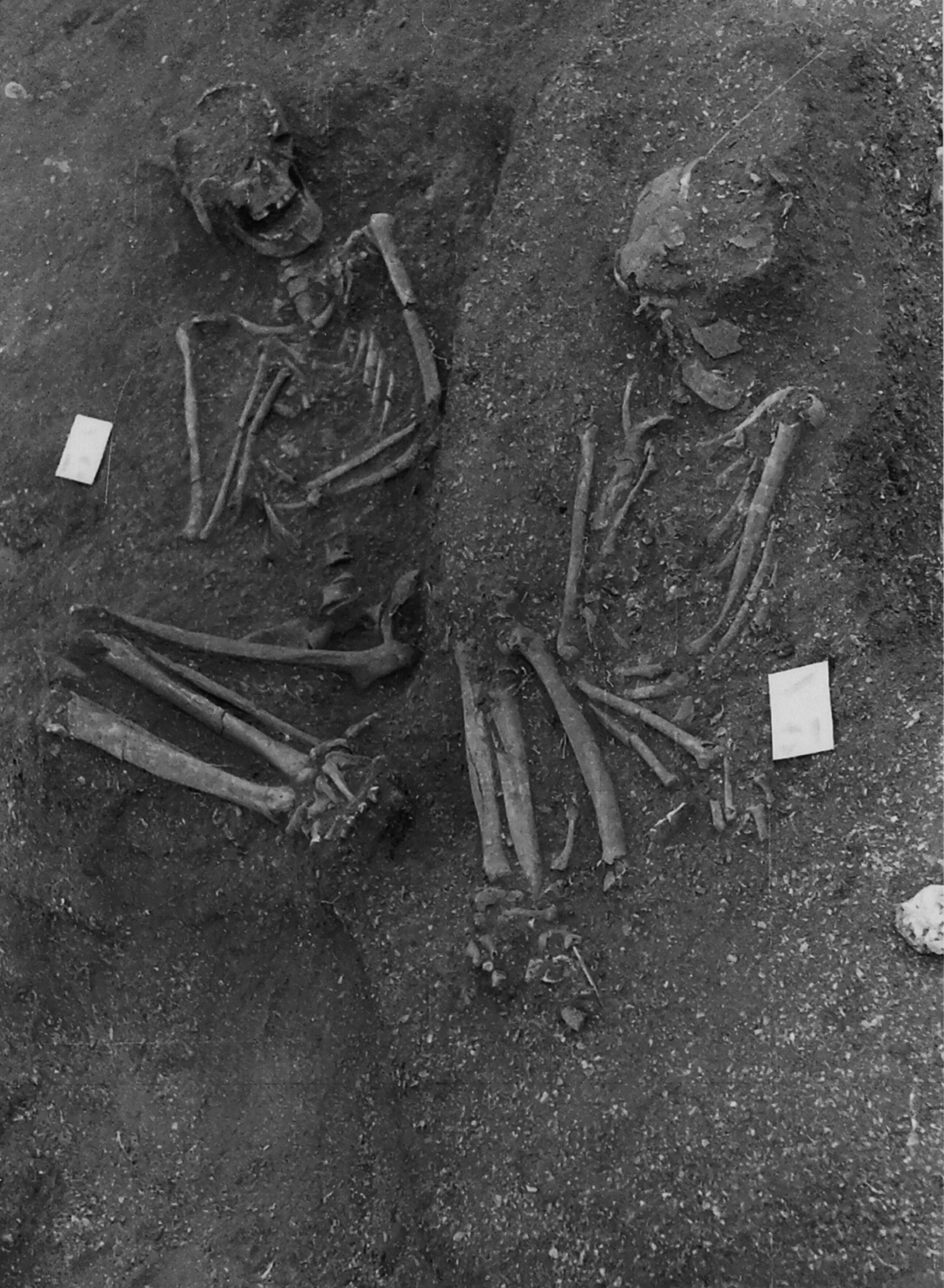 Os egípcios têm a fama, mas se calhar os europeus fizeram-no primeiro. Mumificar corpos na Europa pode ser prática com 8.000 anos