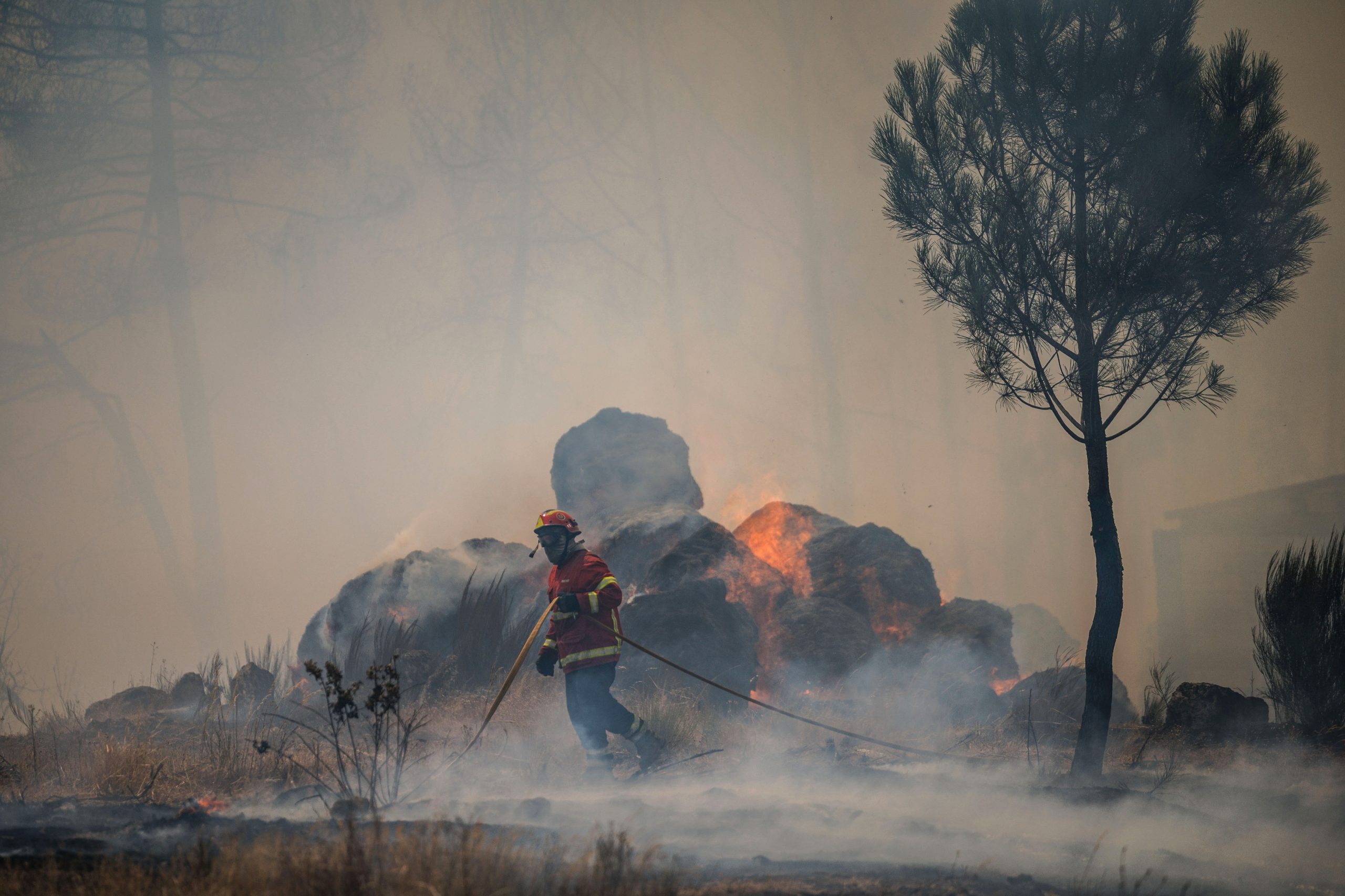 Valença: homem detido por incêndio florestal fica em prisão preventiva