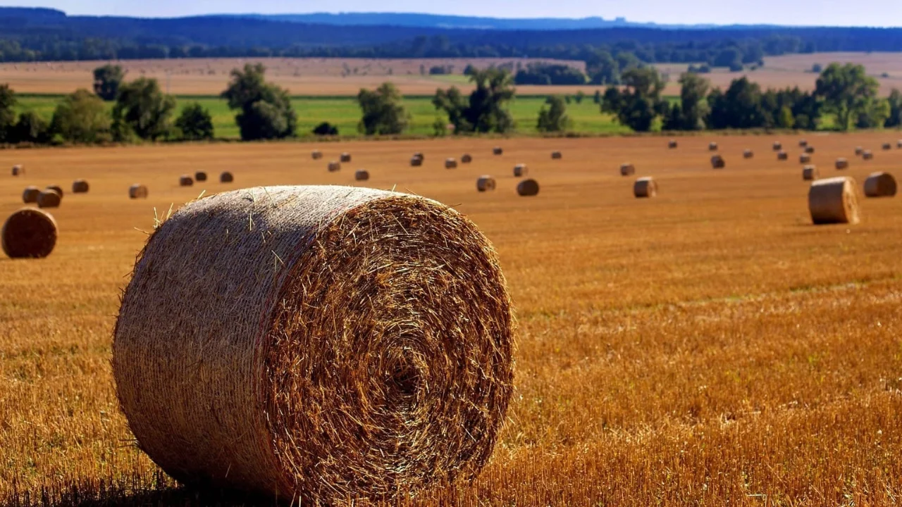 “Agritech”. Como responder aos problemas de um dos setores mais antigos da história?