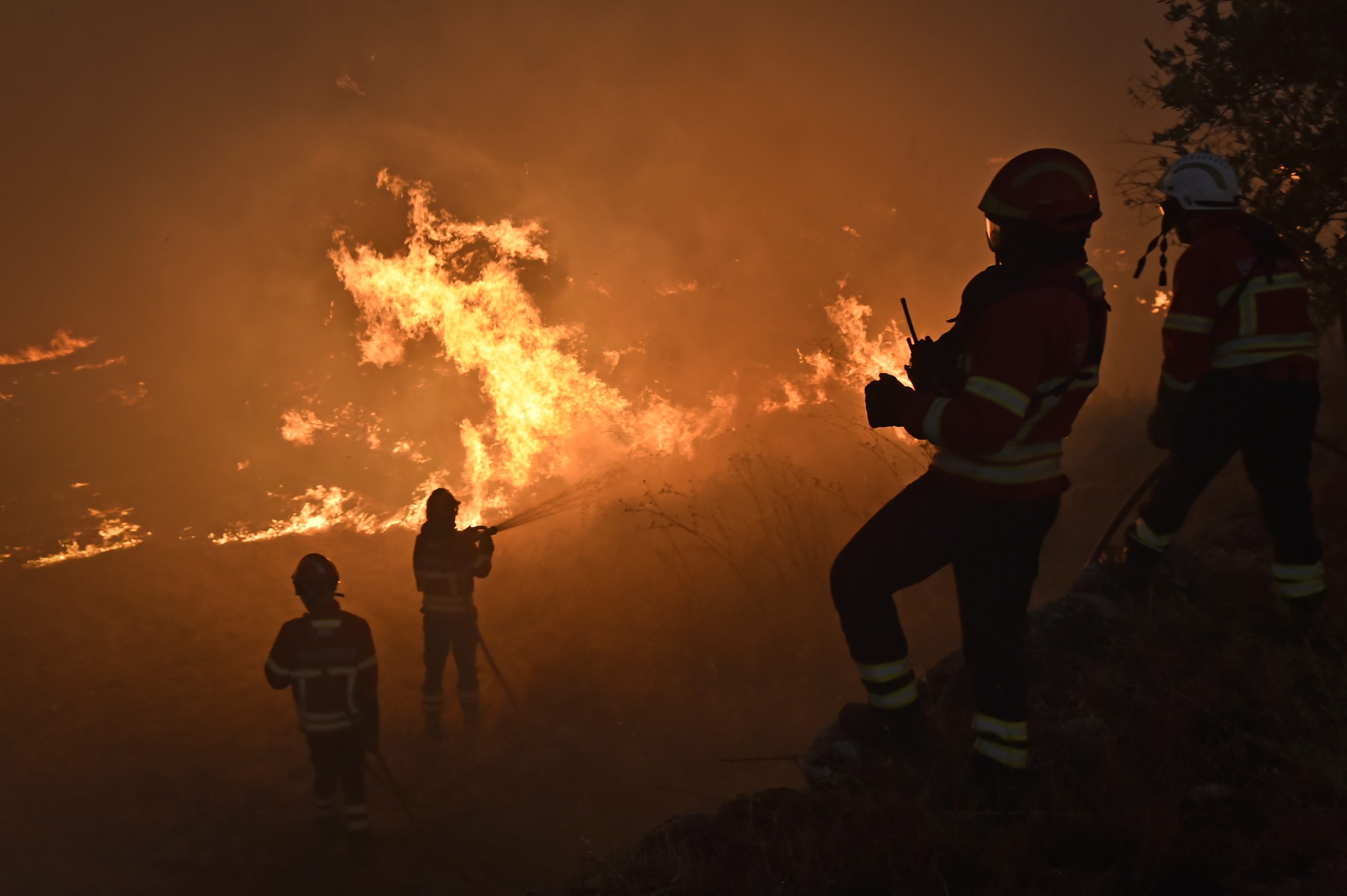 Já foram detidos este ano 119 suspeitos de crime de incêndio