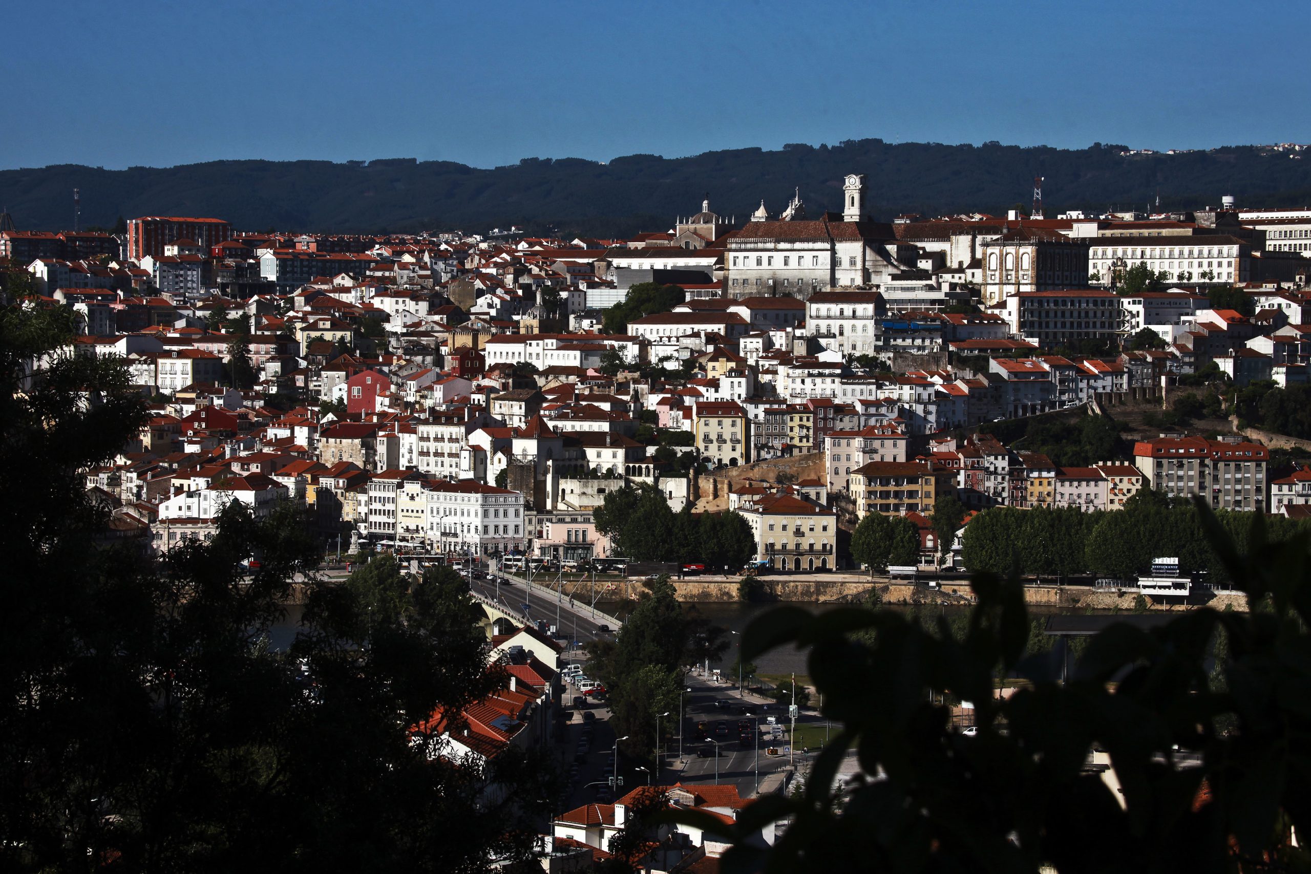 Coimbra avança com acordo com São Paulo para polo do Museu da Língua Portuguesa