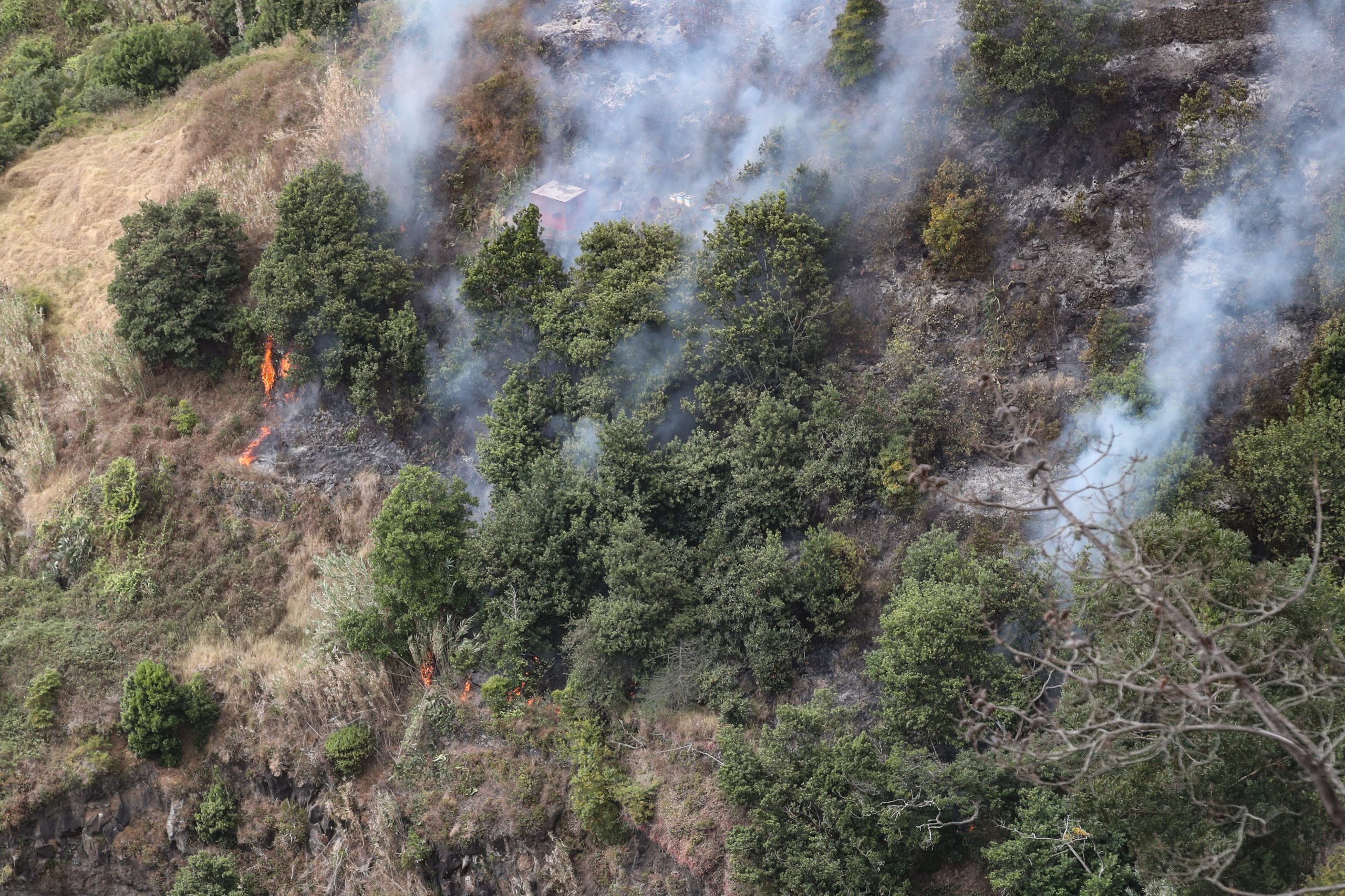 AGIF disponível para integrar Madeira no plano nacional de gestão de fogos