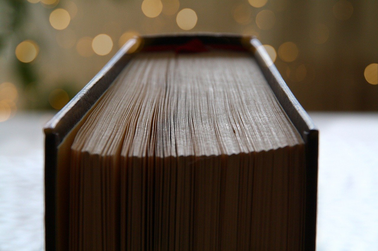 Livros raros de poeta do século XVI enriquecem espólio municipal de Montemor-o-Velho