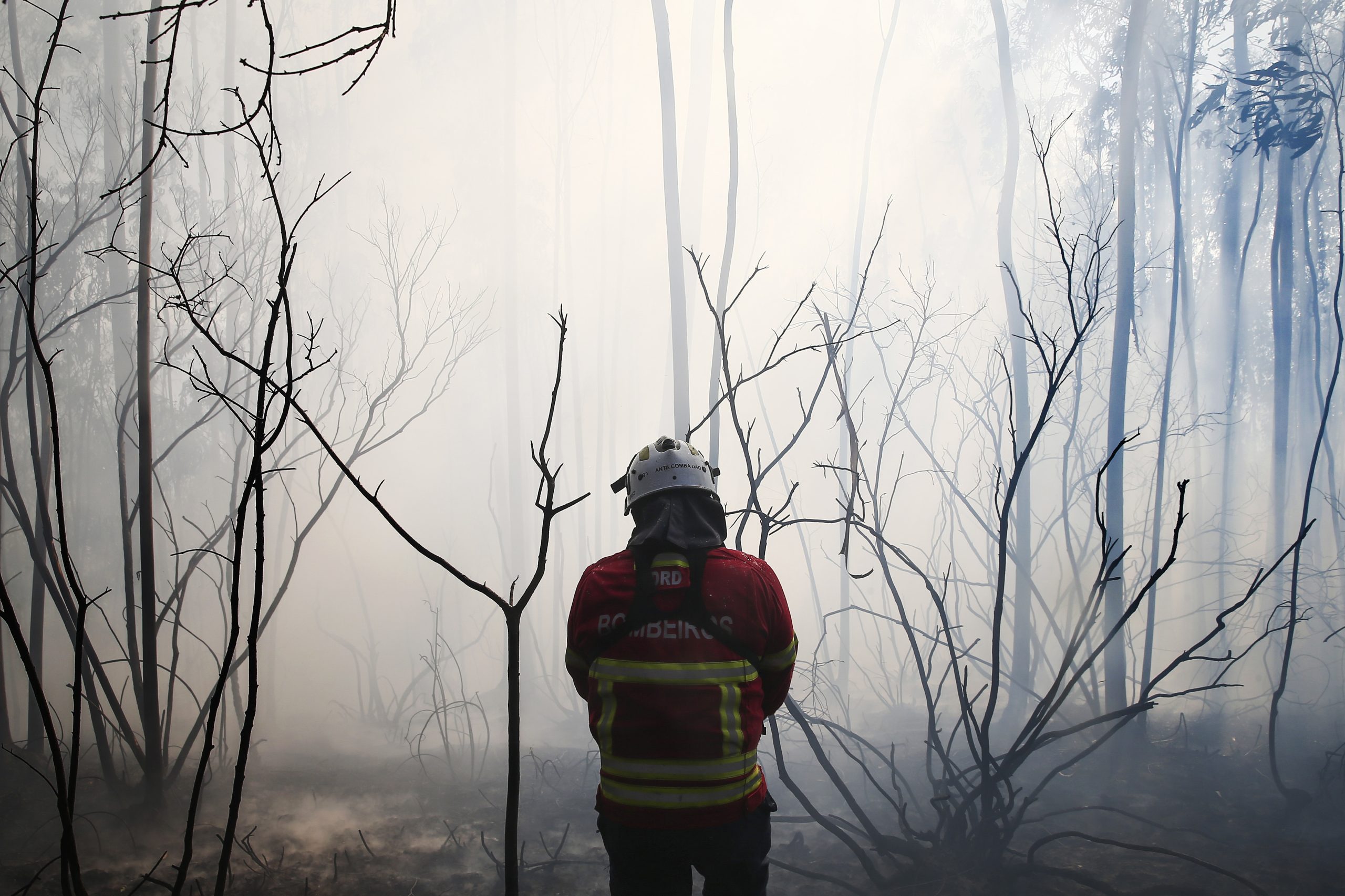 Incêndios: Fogo em Viana do Castelo com duas frentes dominadas e uma ativa