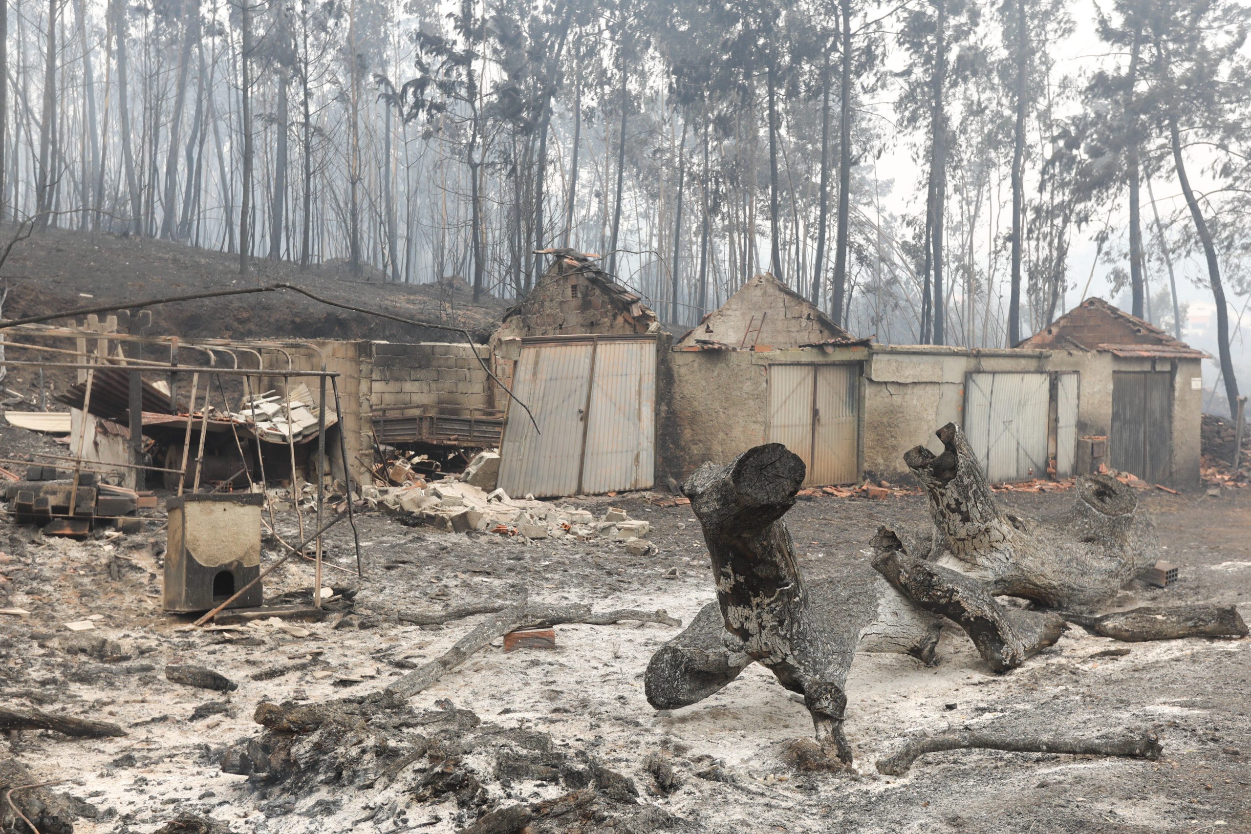 Incêndios: Câmara de Pedrógão Grande tinha estrutura muito débil para dimensão do problema, diz Gouveia e Melo