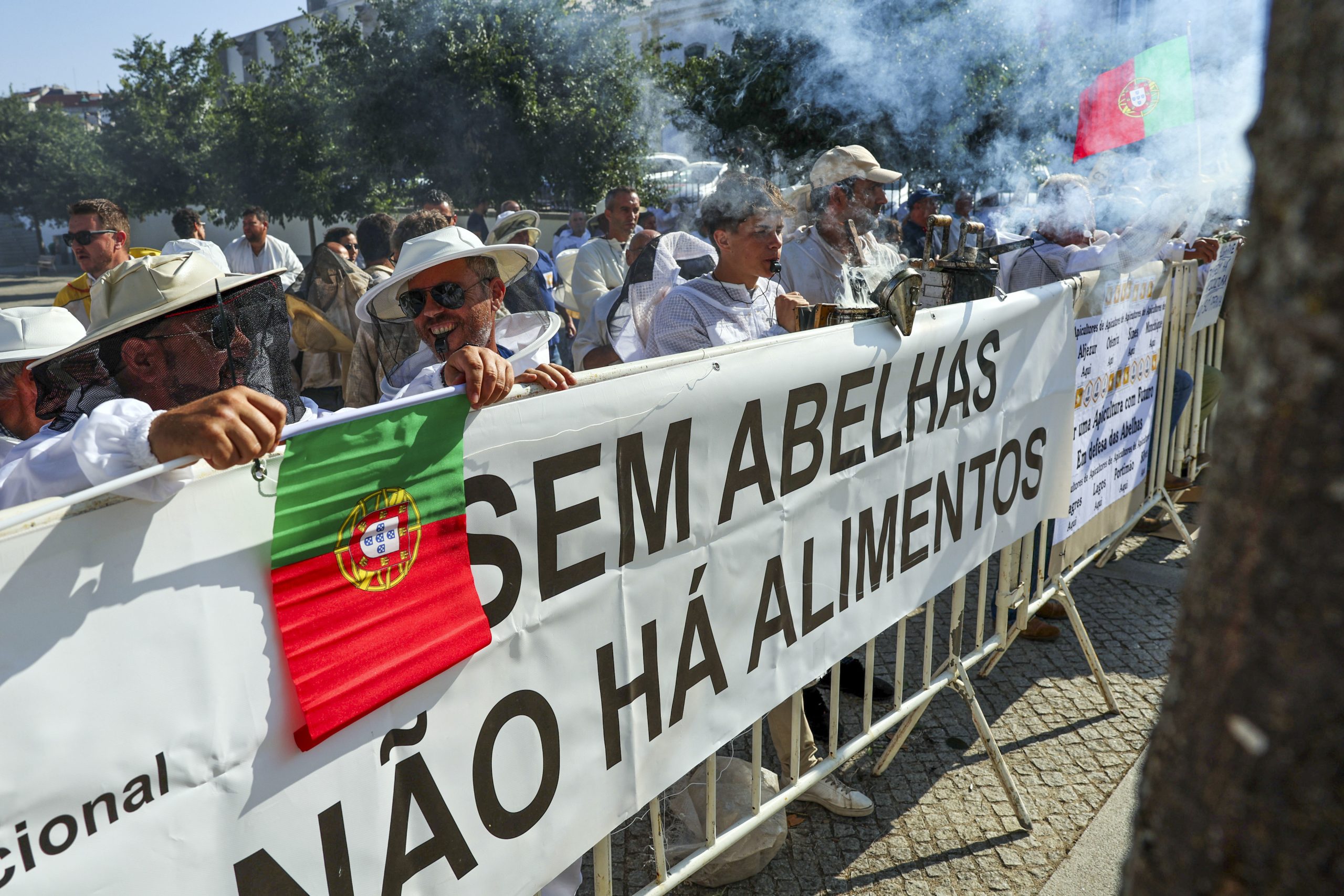 Apicultores exigem apoios ao Governo para evitar morte do setor e das abelhas
