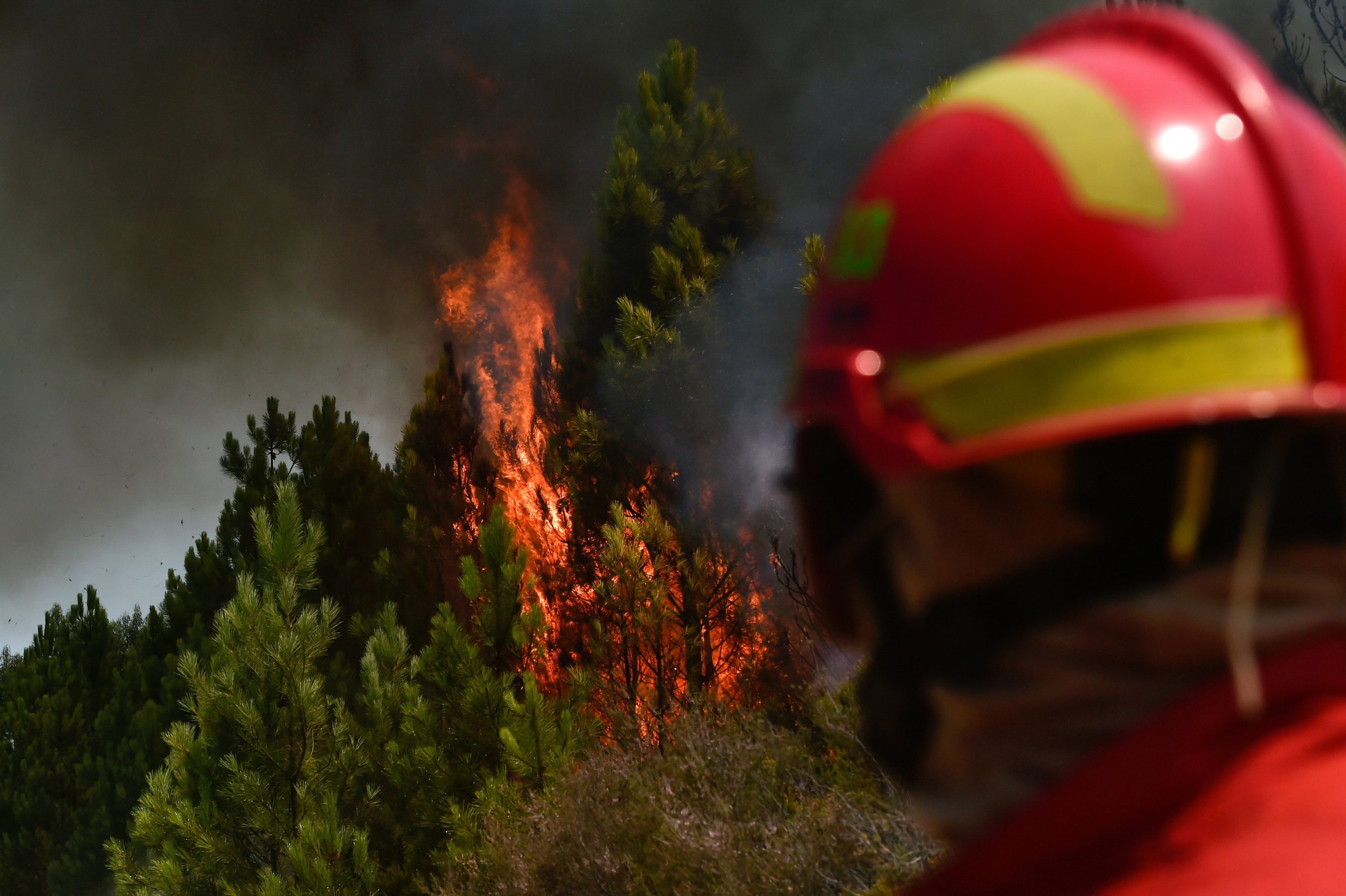 Incêndios: Dezenas de feridos no Centro Hospitalar Tondela-Viseu