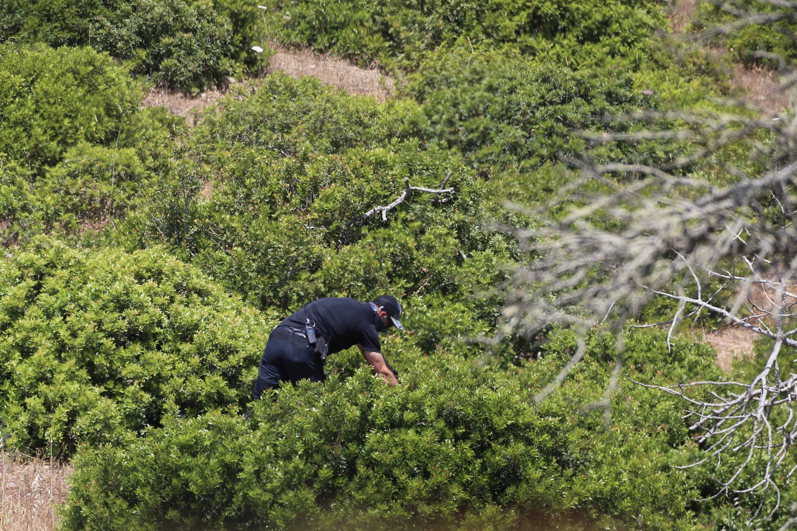 Está a decorrer o terceiro dia de buscas por vestígios de Madeleine McCann. Veja as imagens