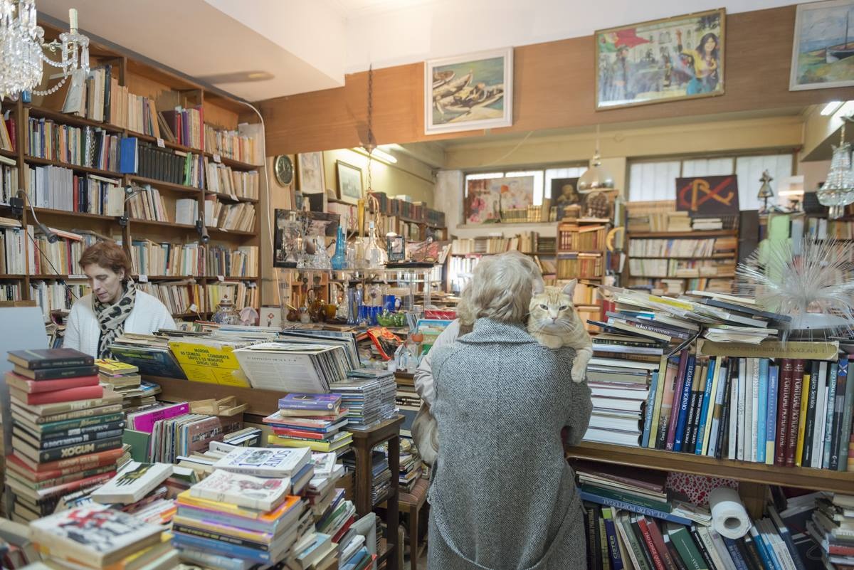 Junta de Benfica vai reabrir histórica ‘Livraria Ulmeiro’ e quer ajuda para imortalizar 15 personalidades em novo passeio