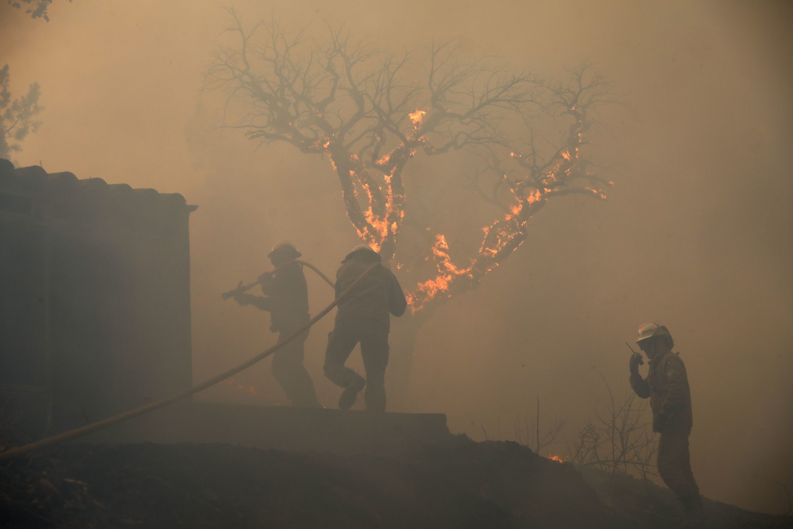 Chamas cercam aldeia de Estevais em Torre de Moncorvo